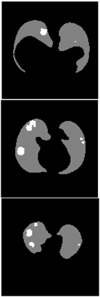 Healthcare 11 00213 i040 Healthcare 11 00213 i040