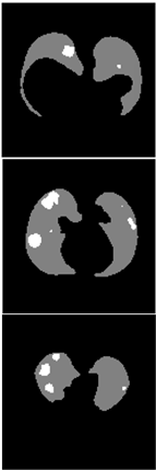 Healthcare 11 00213 i041 Healthcare 11 00213 i041