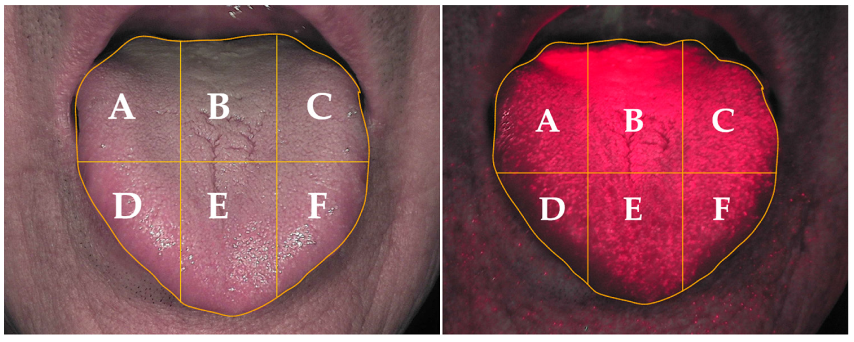 Healthcare 11 00217 g004