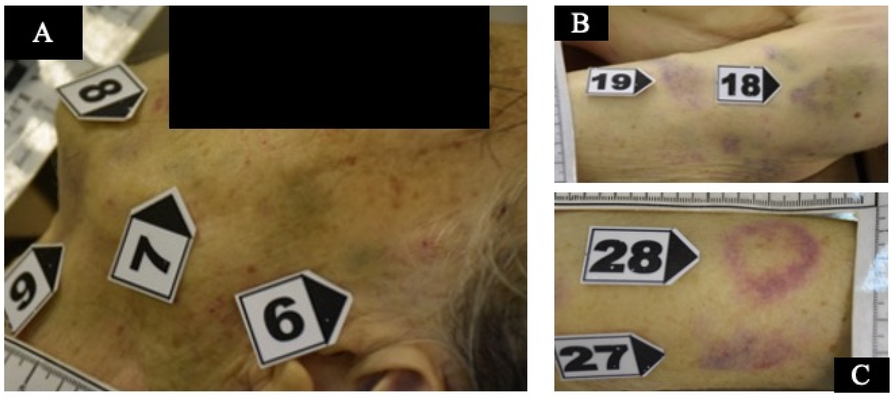 Healthcare 11 00228 g002