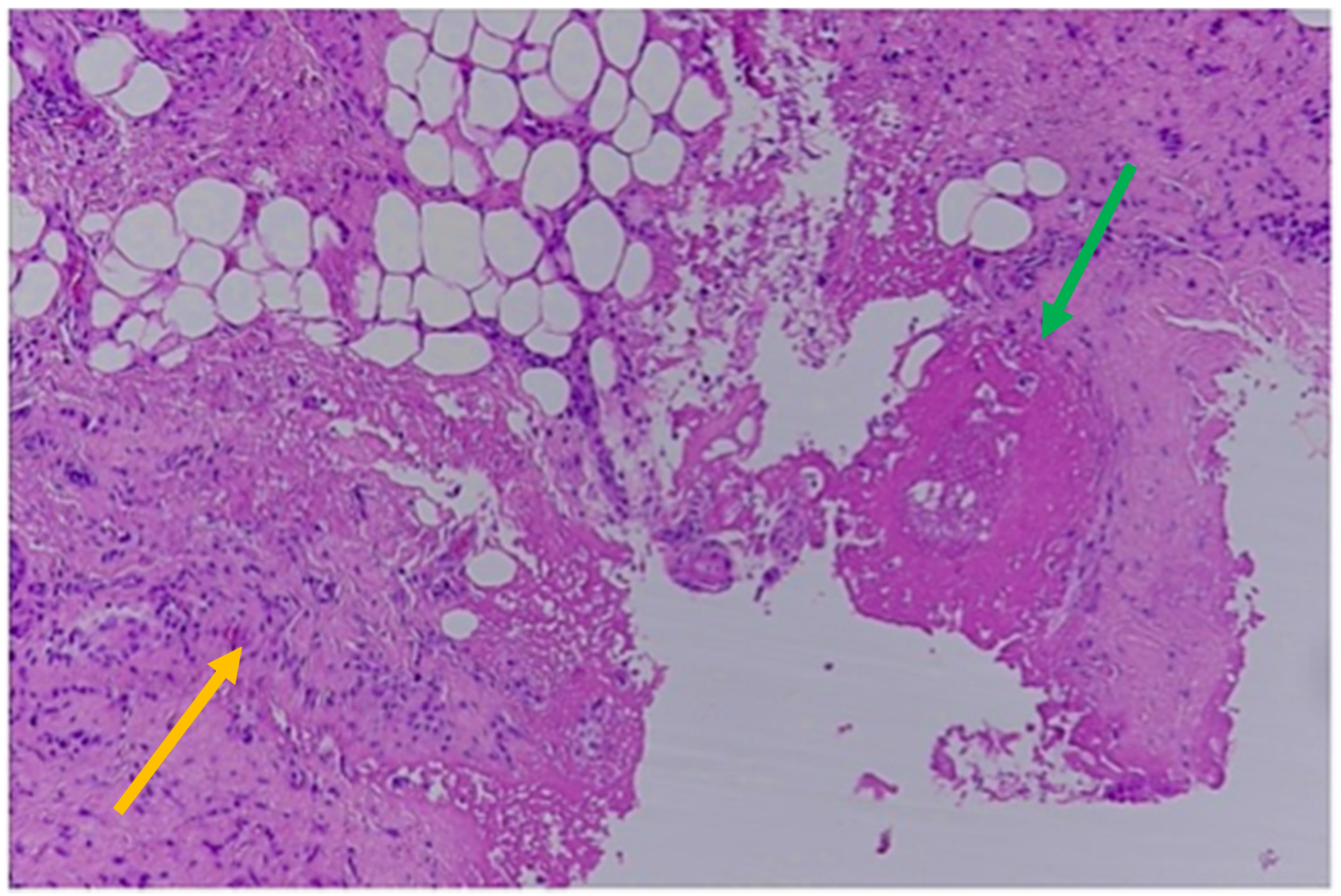 Healthcare 11 00228 g003