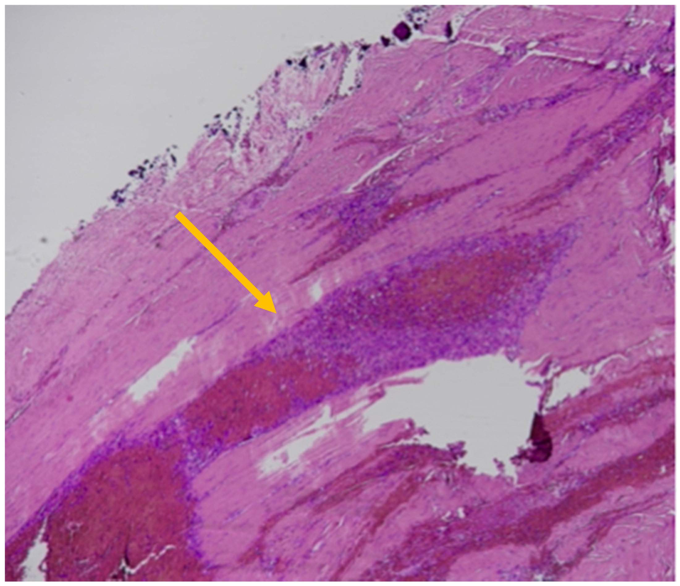 Healthcare 11 00228 g004