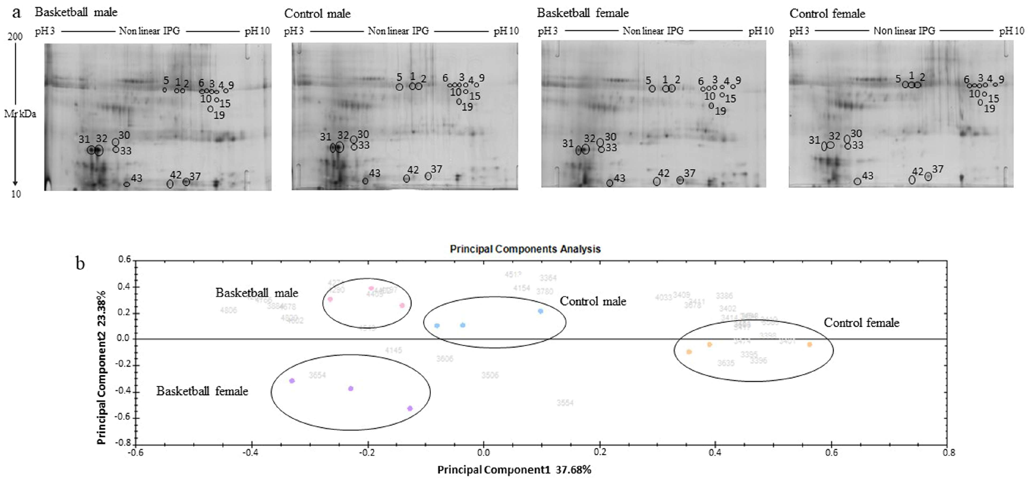 Healthcare 11 00241 g001