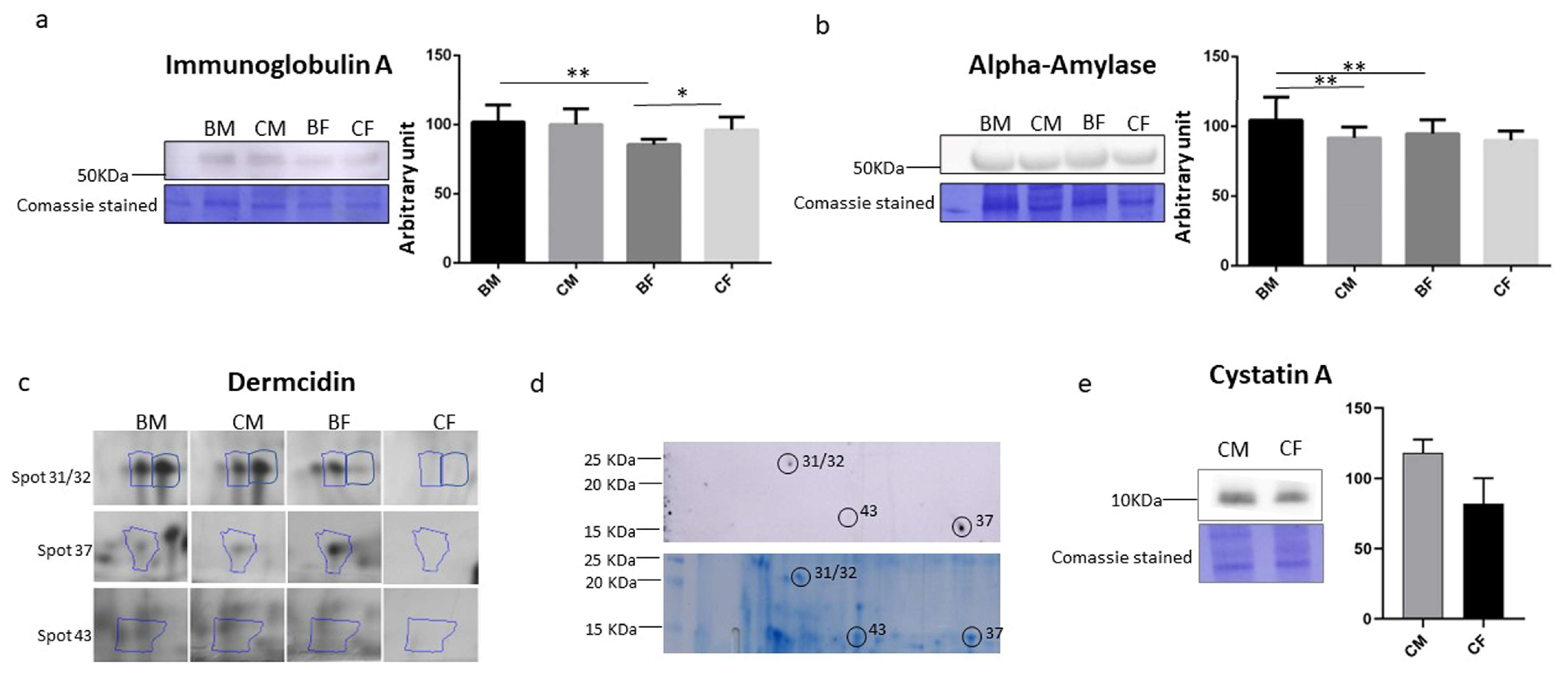 Healthcare 11 00241 g002