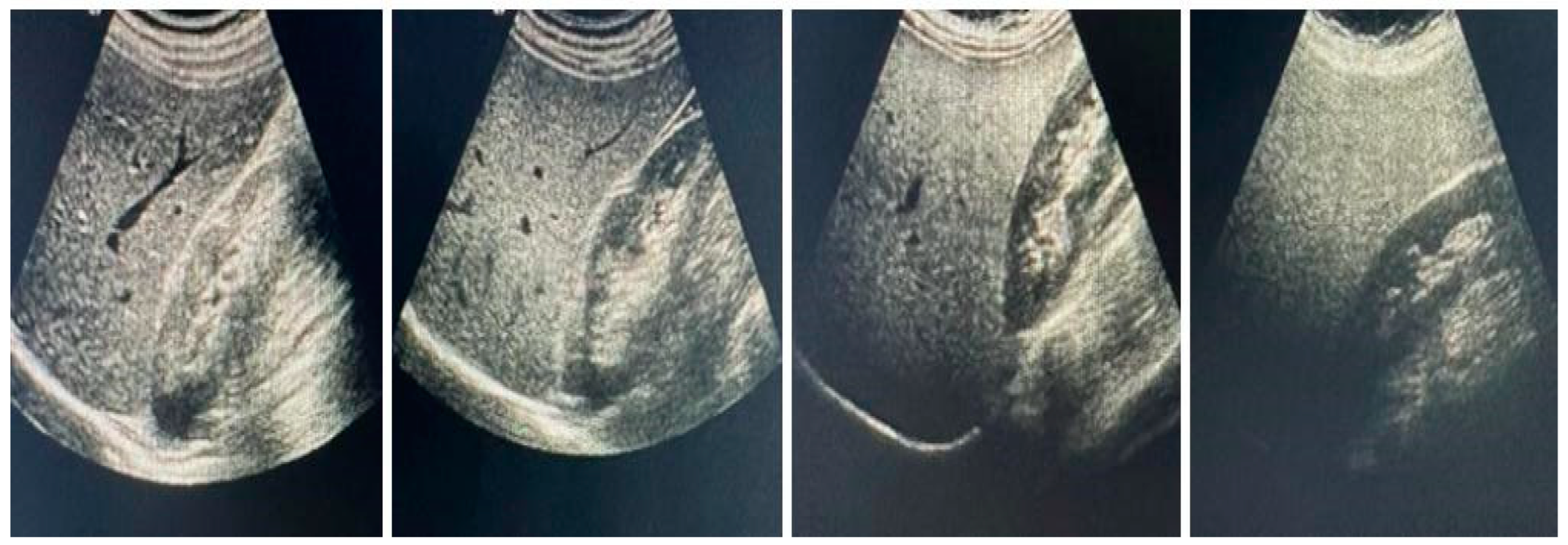 Healthcare 11 00243 g001