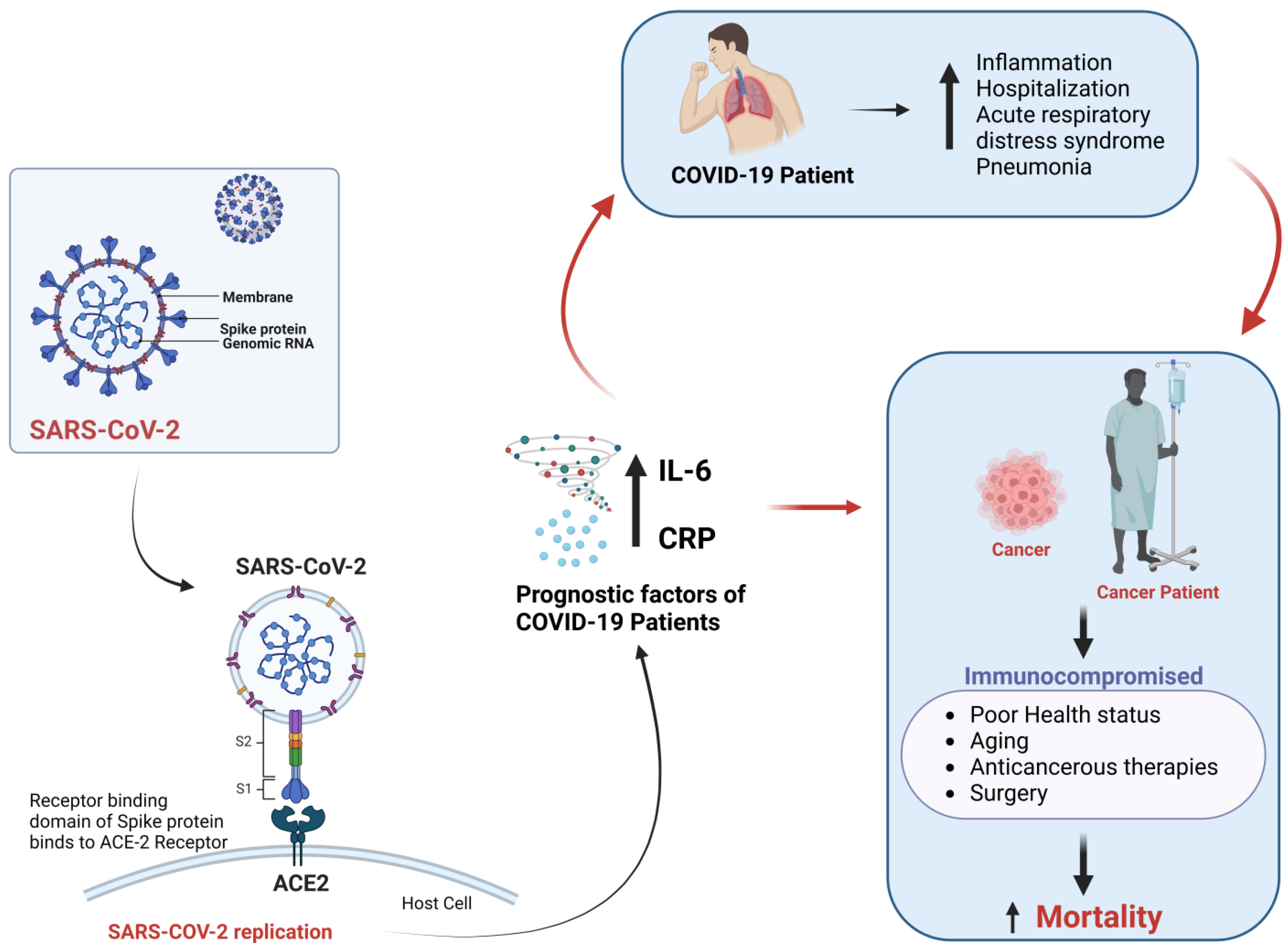 Healthcare 11 00248 g001