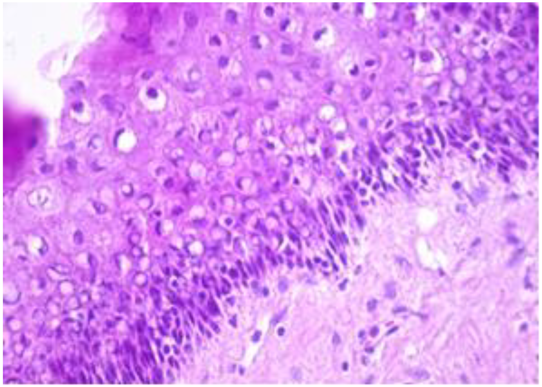 Healthcare 11 00257 g001 Healthcare 11 00257 g001