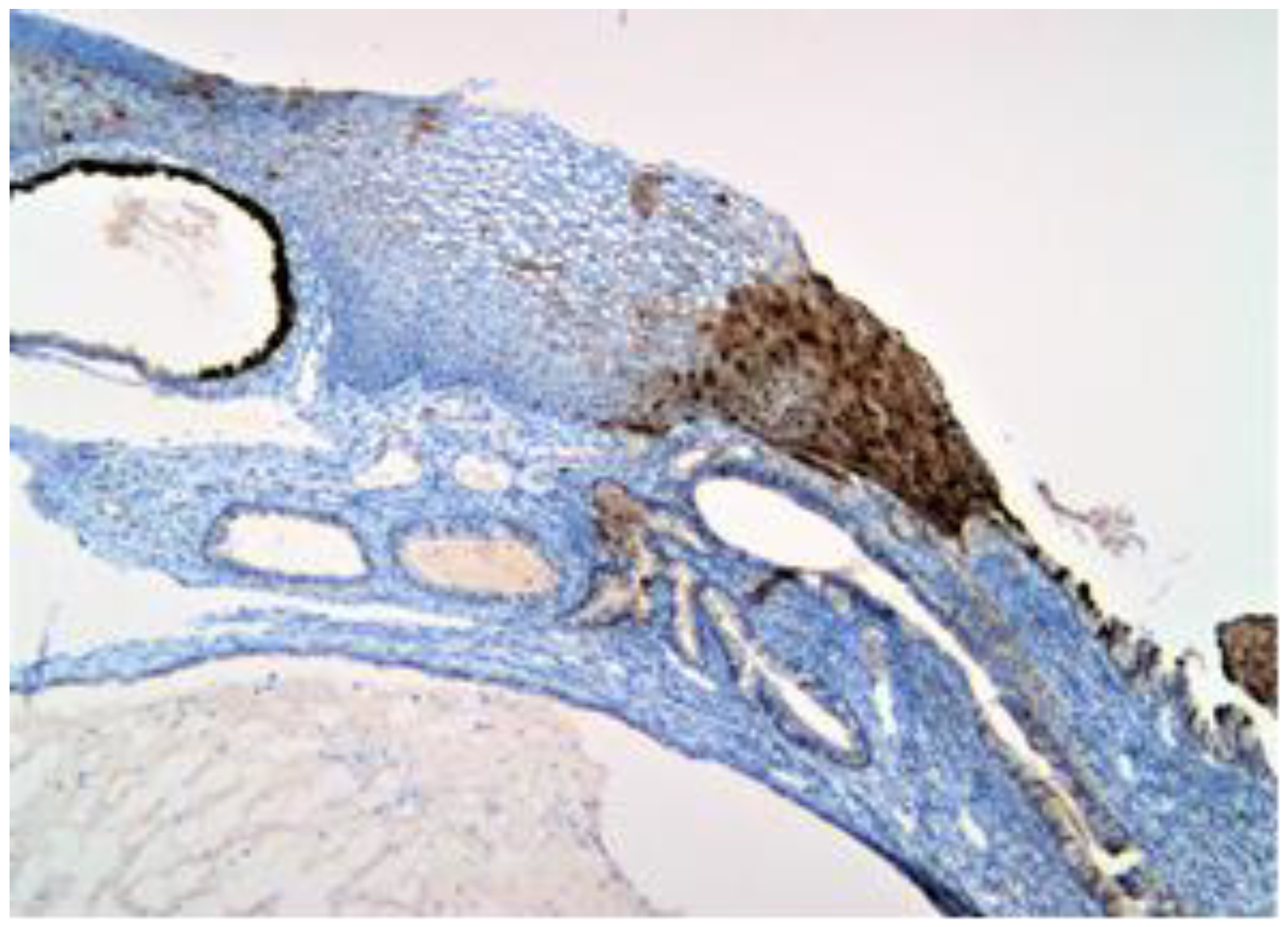 Healthcare 11 00257 g002 Healthcare 11 00257 g002