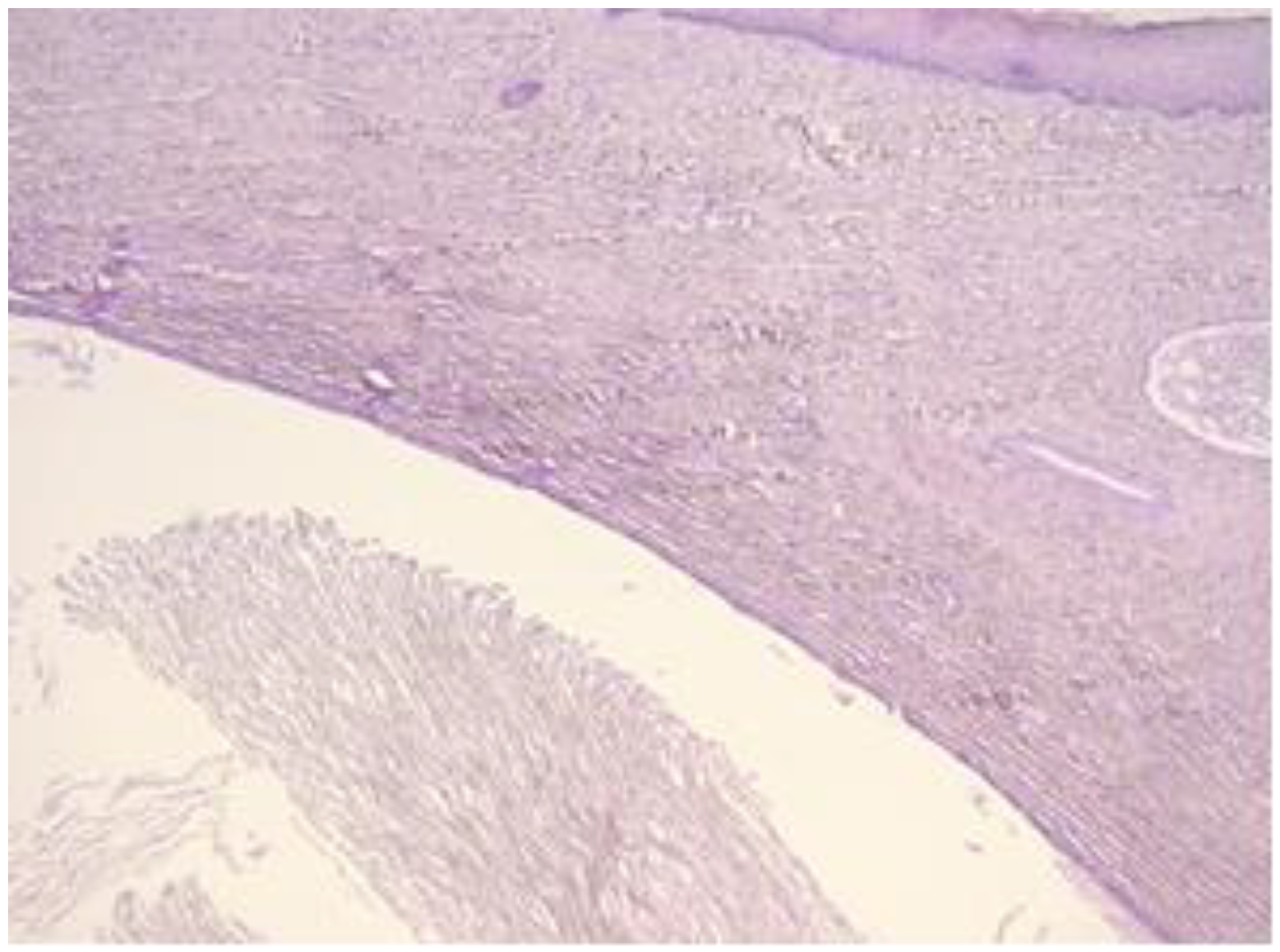 Healthcare 11 00257 g003 Healthcare 11 00257 g003