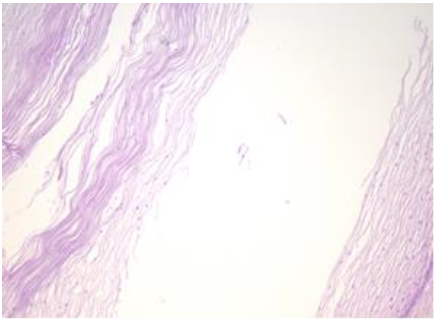 Healthcare 11 00257 g004 Healthcare 11 00257 g004