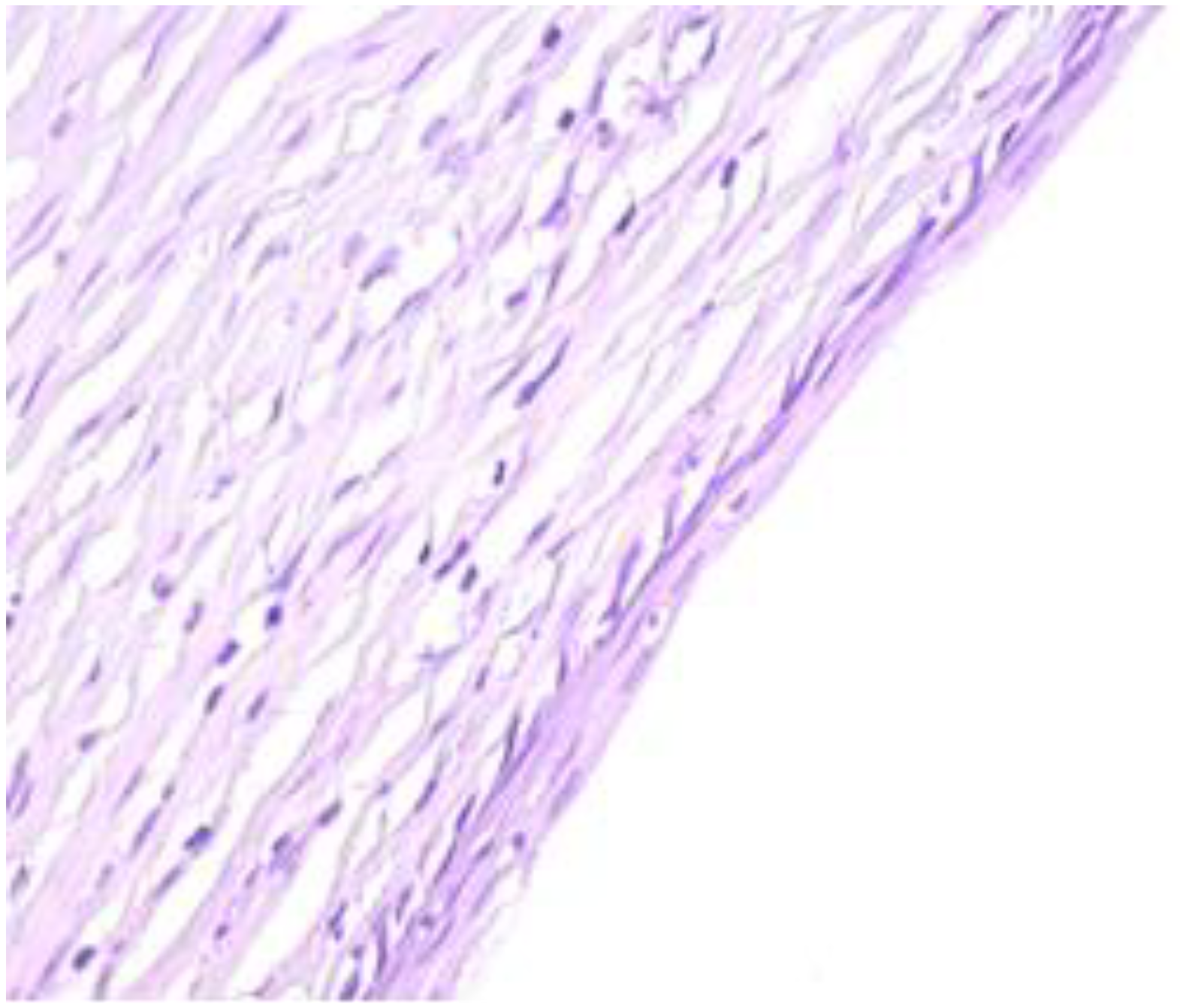 Healthcare 11 00257 g005 Healthcare 11 00257 g005