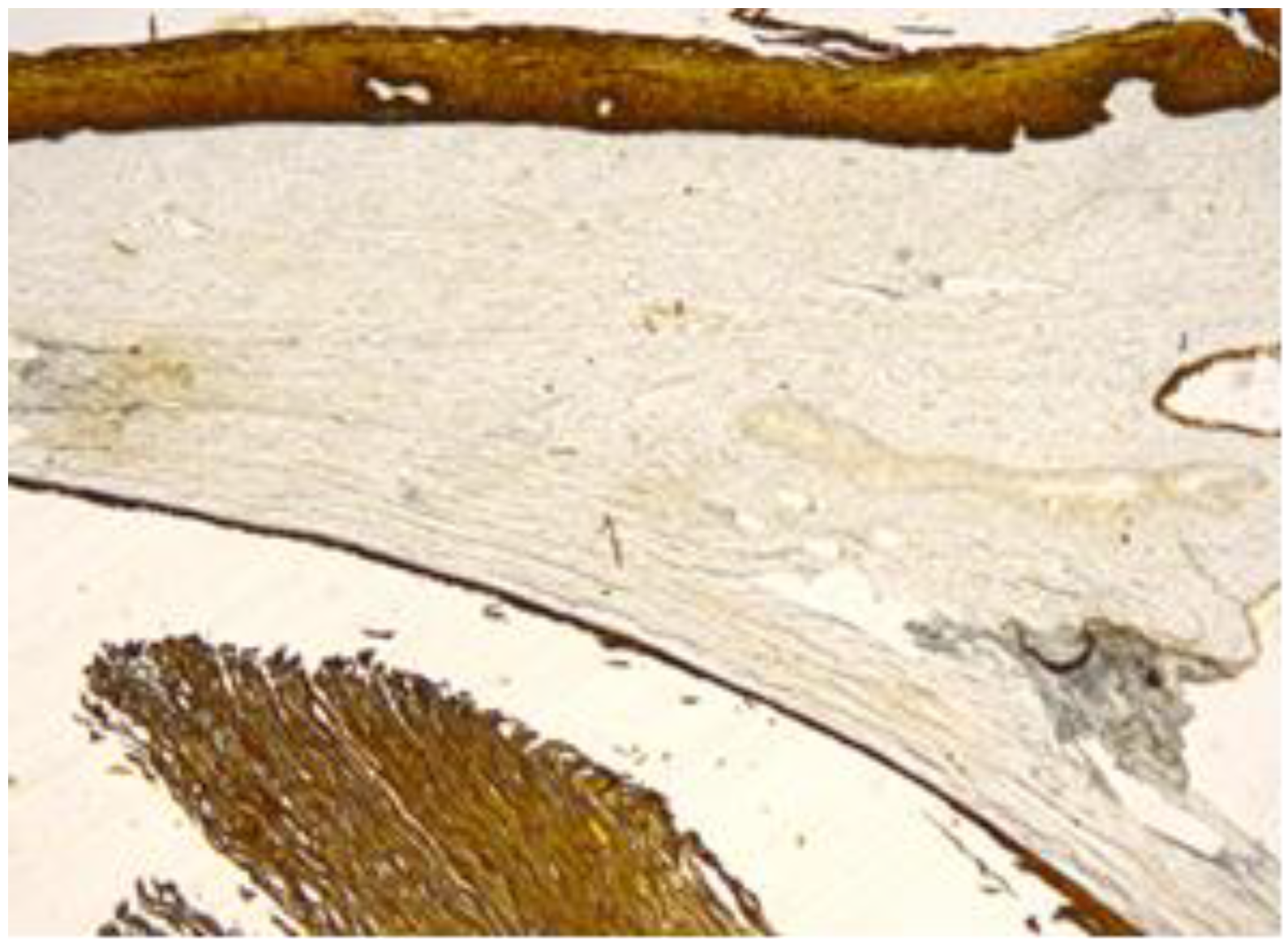 Healthcare 11 00257 g006 Healthcare 11 00257 g006