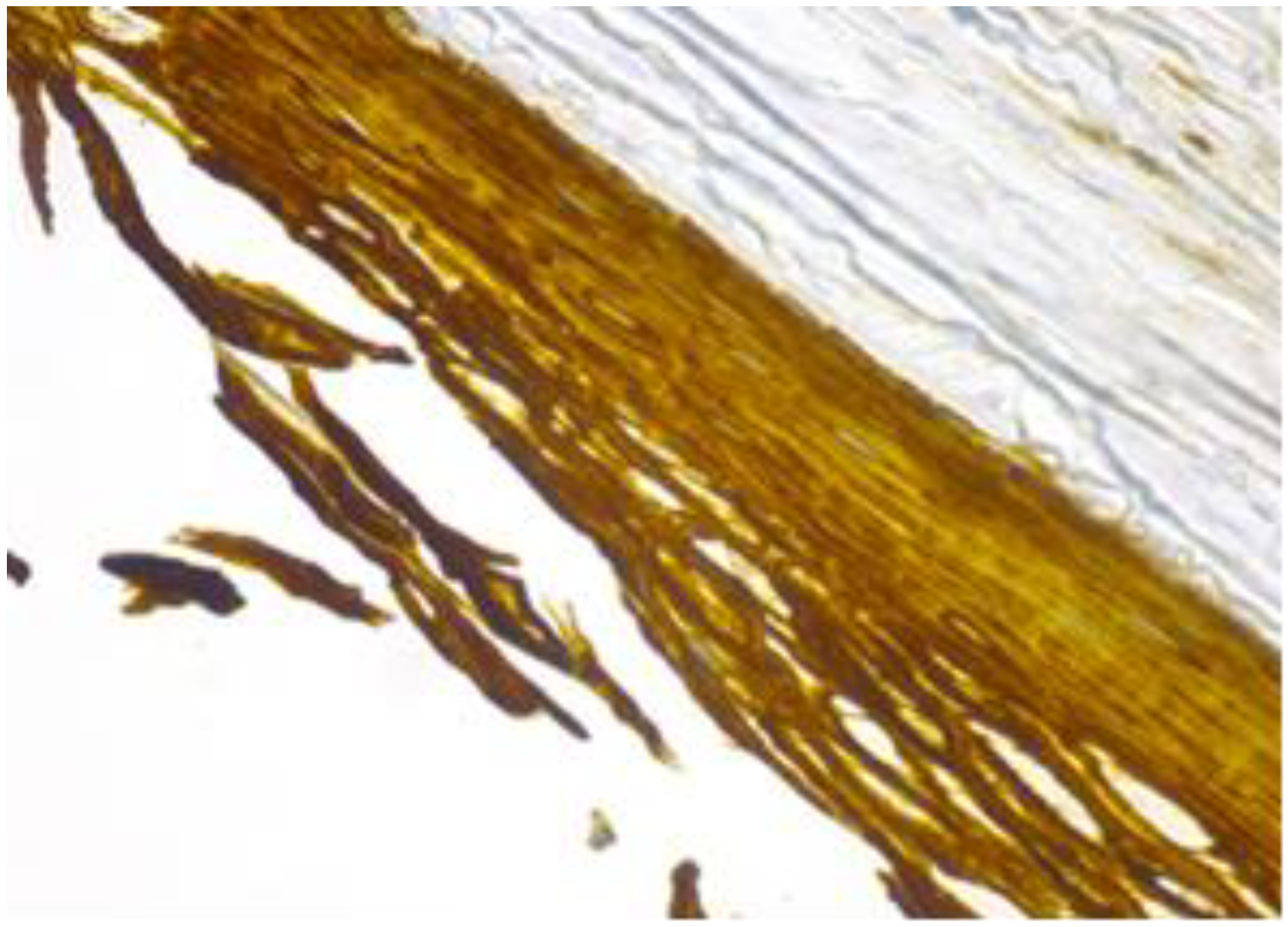 Healthcare 11 00257 g007 Healthcare 11 00257 g007