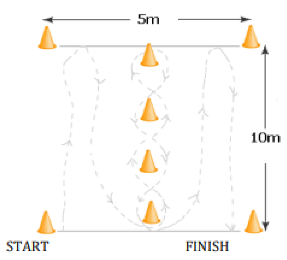 Healthcare 11 00261 g001