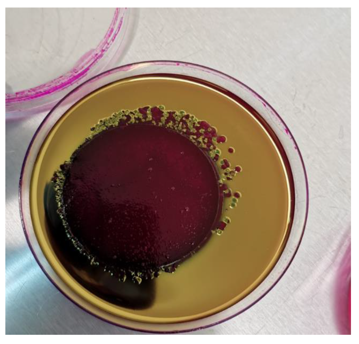 Healthcare 11 00299 g001