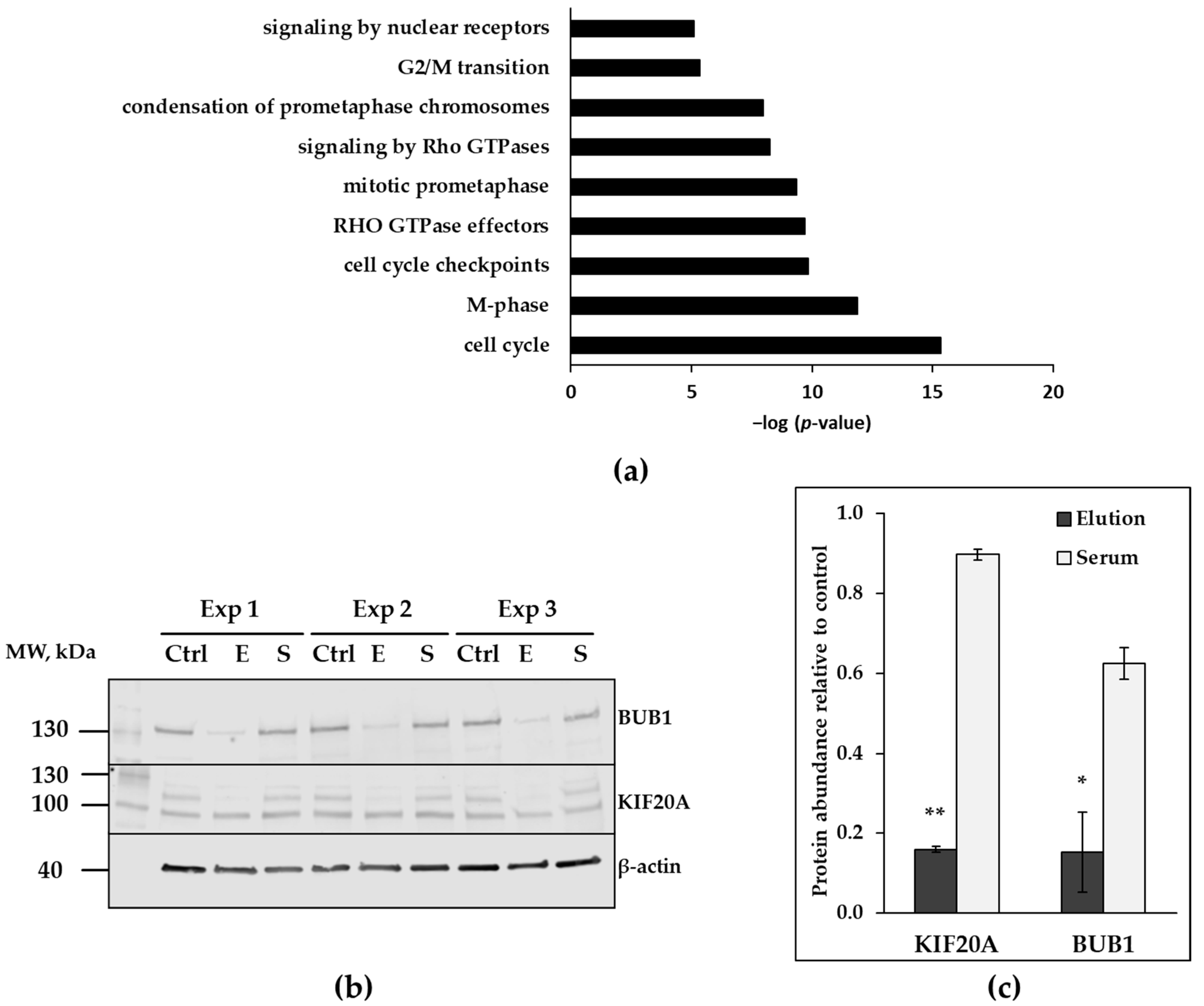 Healthcare 11 00310 g005