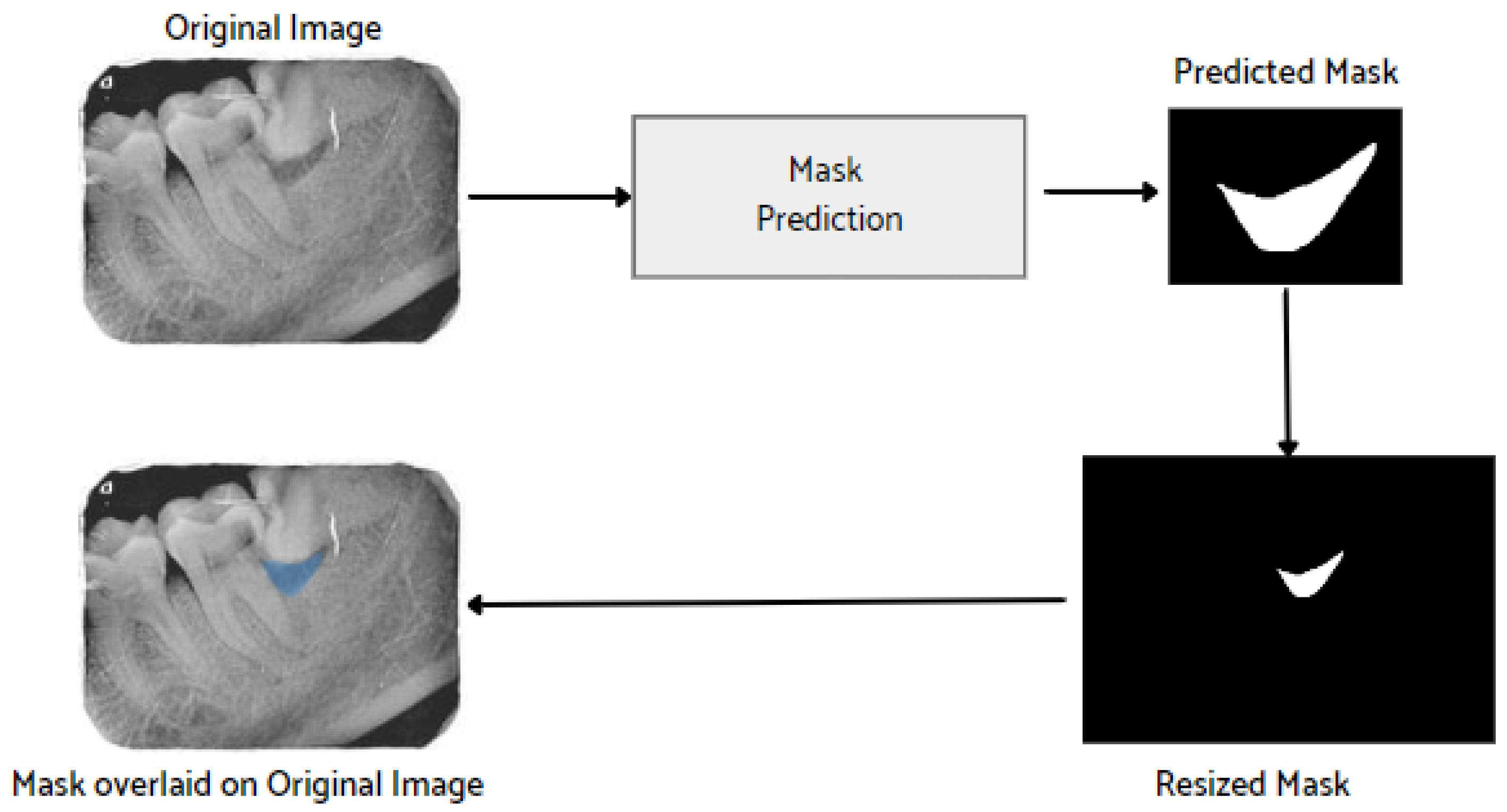 Healthcare 11 00347 g008