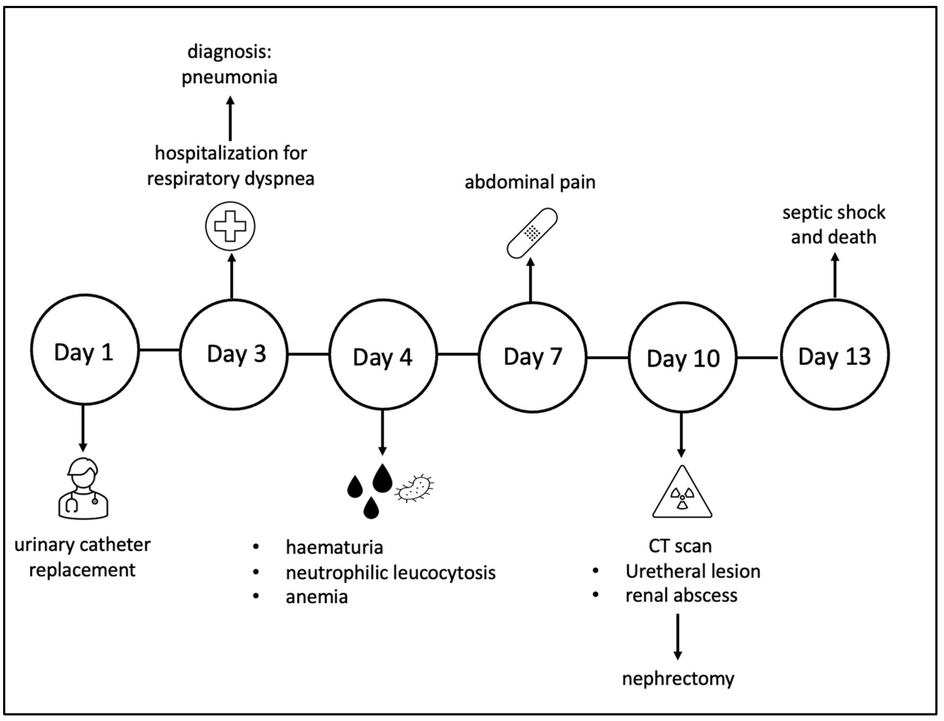 Healthcare 11 00360 g001
