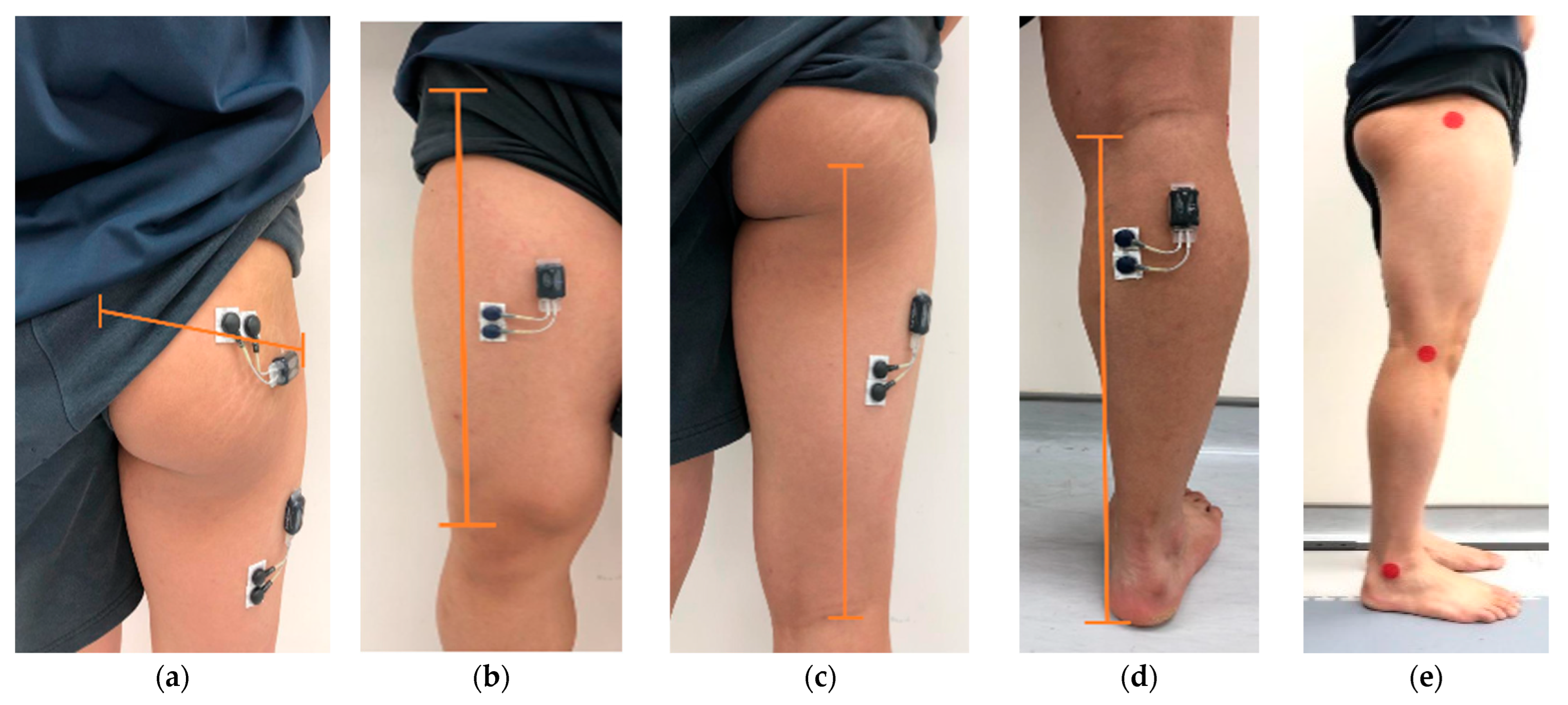 Healthcare 11 00441 g002