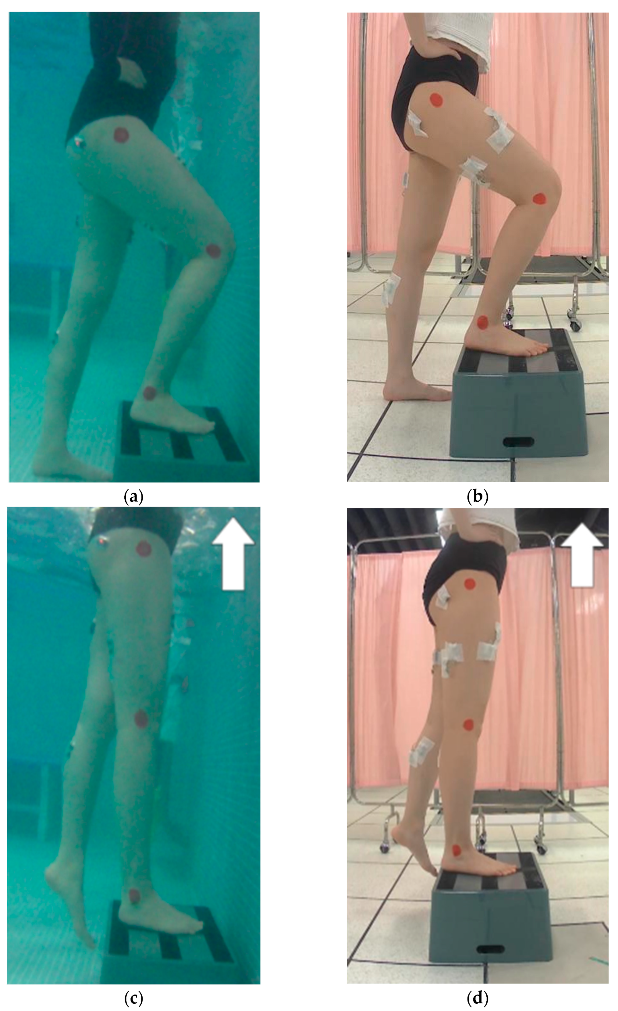 Healthcare 11 00441 g003a