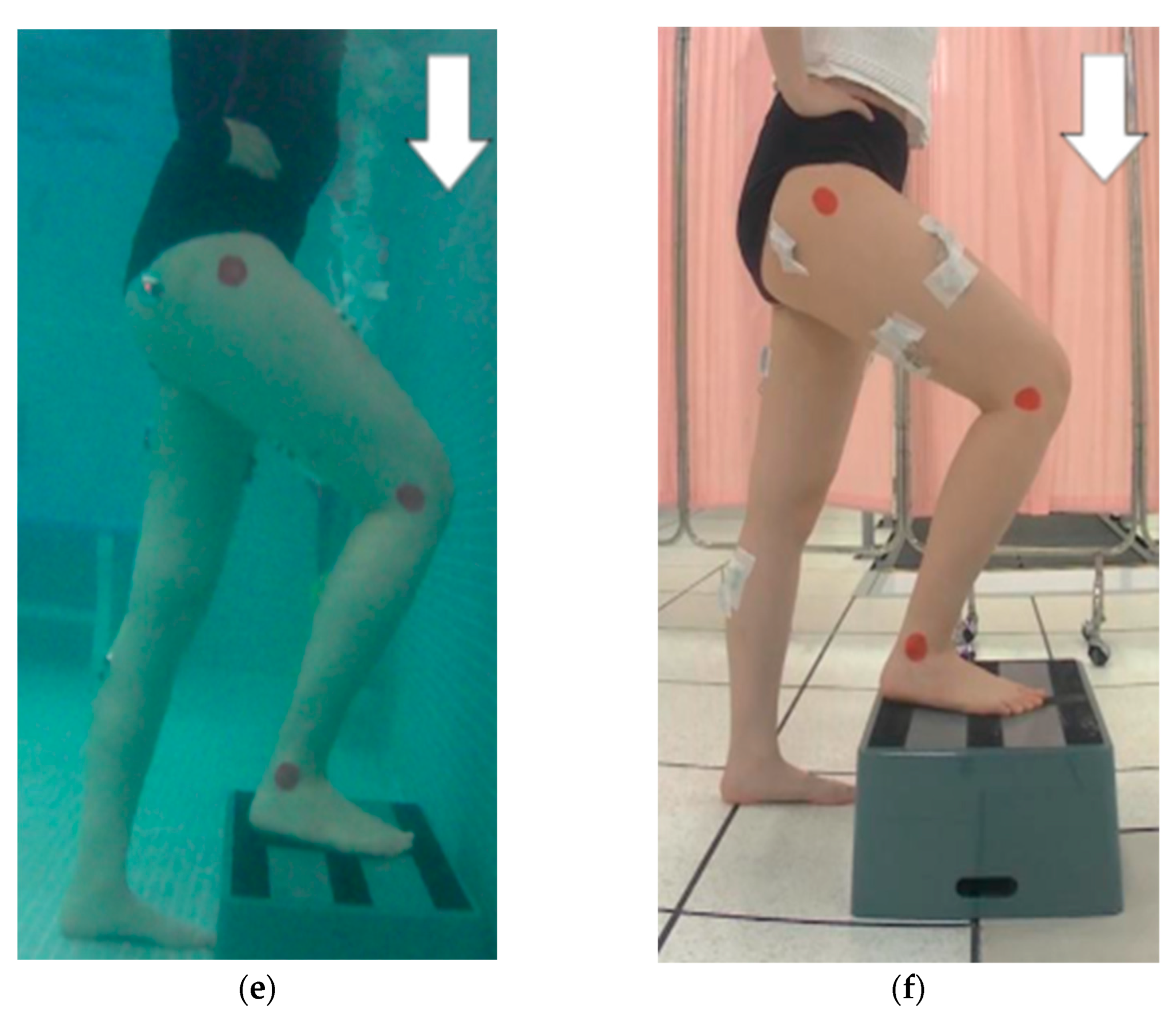 Healthcare 11 00441 g003b