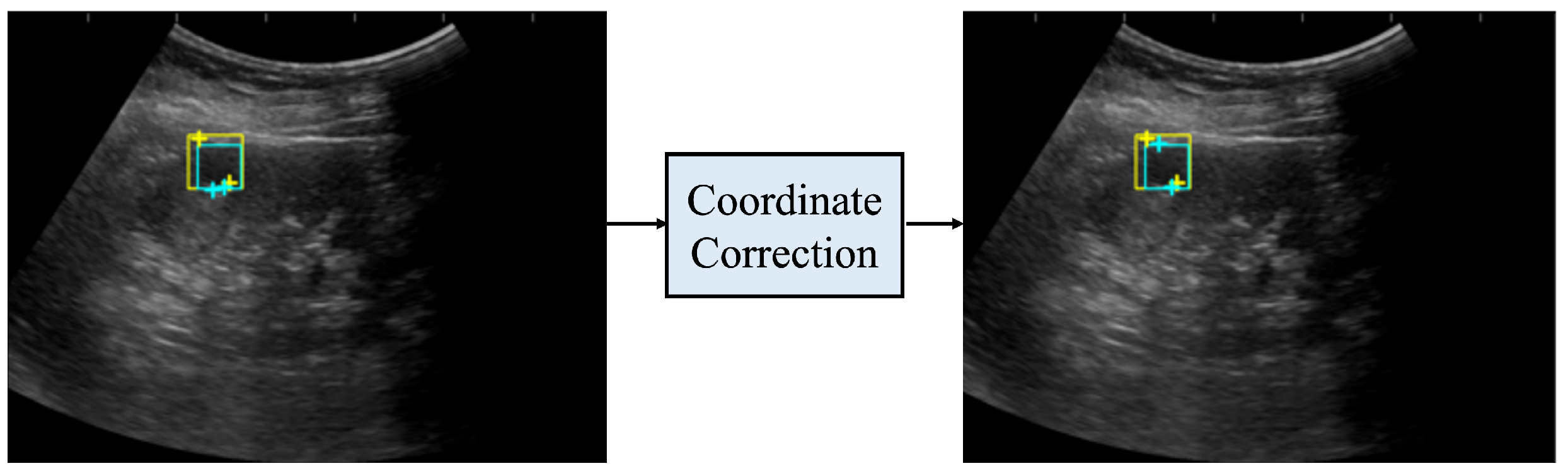 Healthcare 11 00484 g006