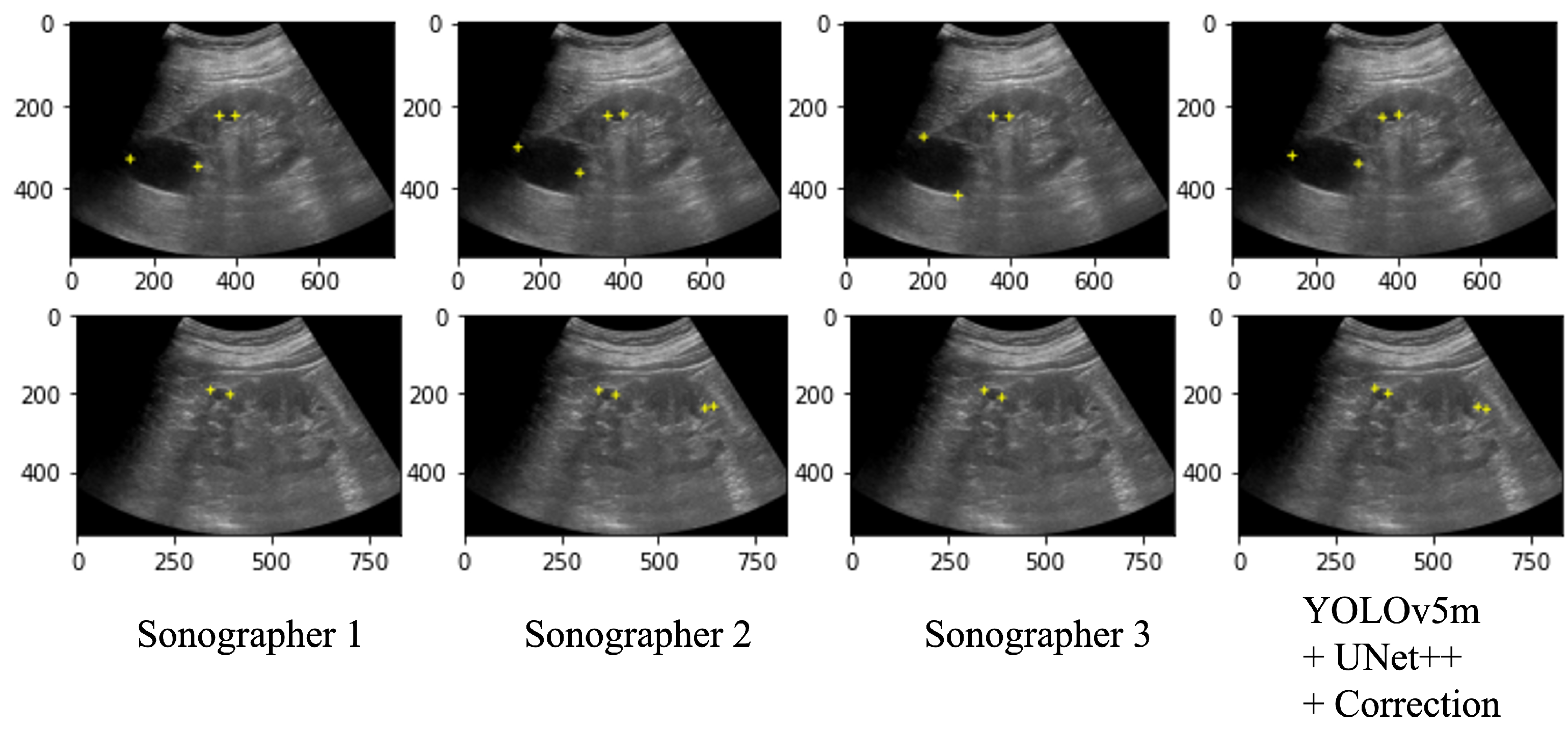 Healthcare 11 00484 g007