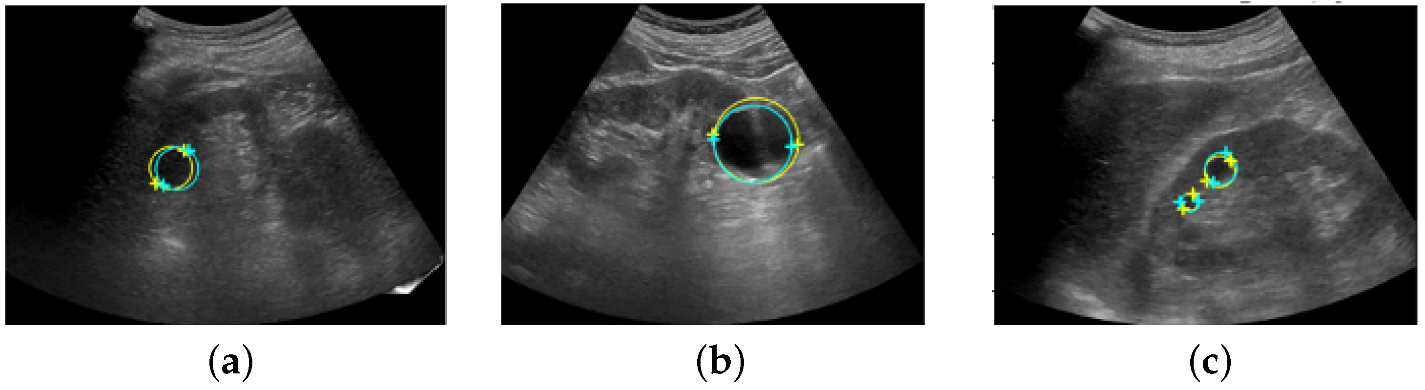 Healthcare 11 00484 g008