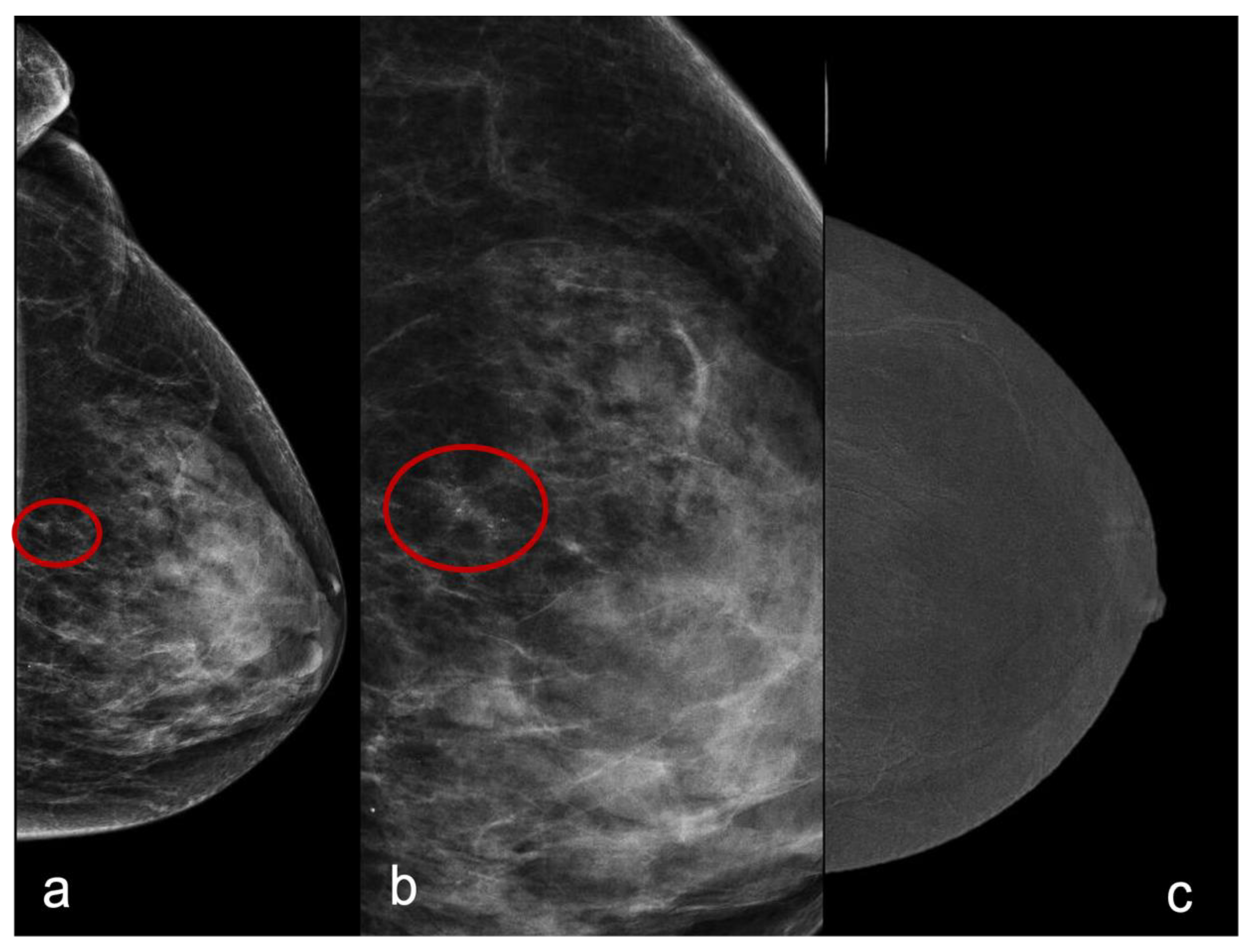 Healthcare 11 00511 g001