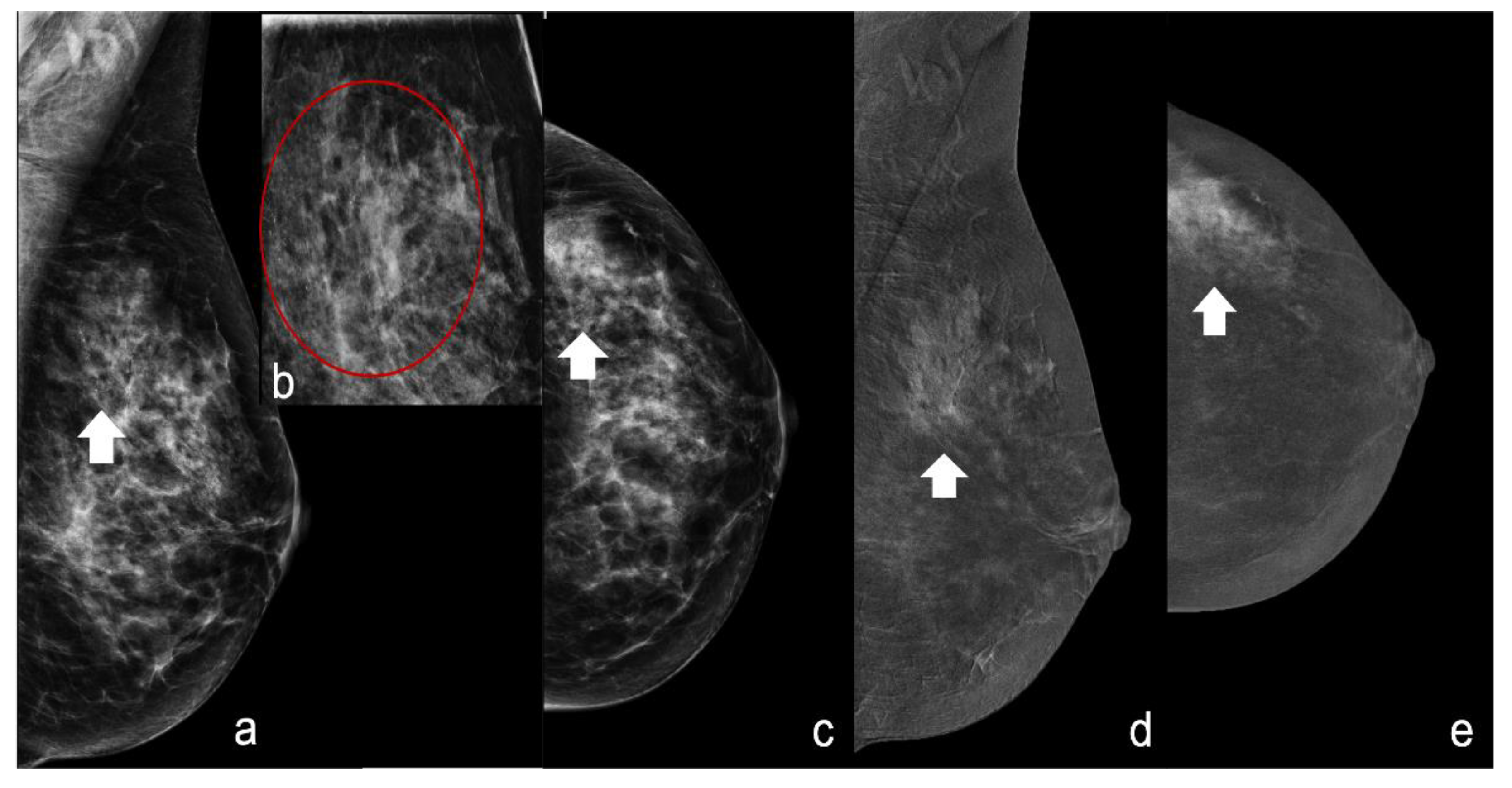 Healthcare 11 00511 g002