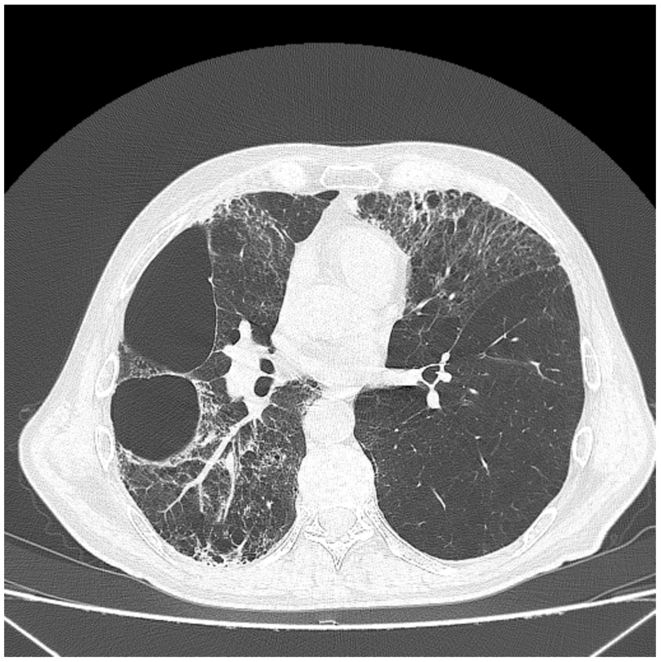 Healthcare 11 00527 g002