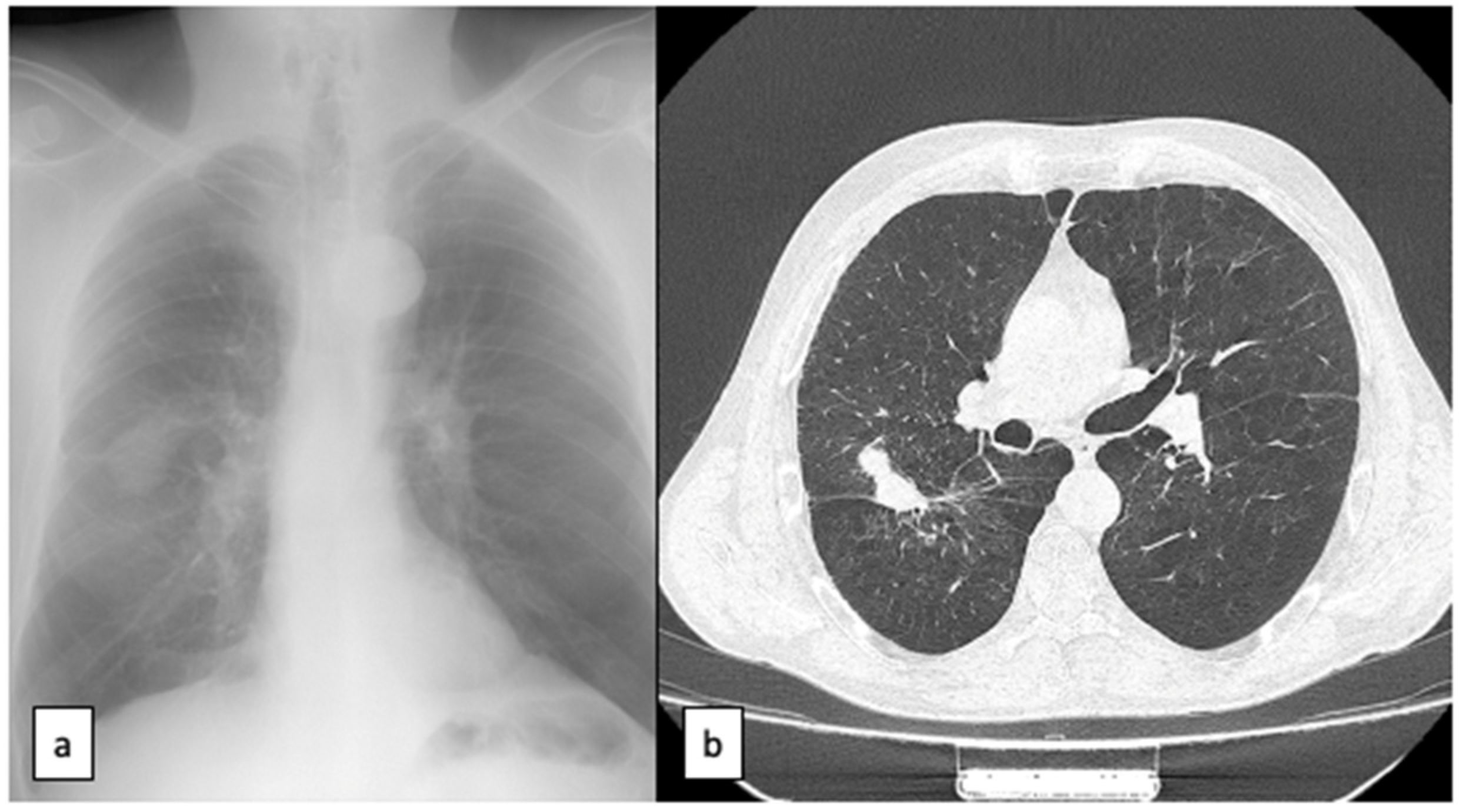 Healthcare 11 00527 g004