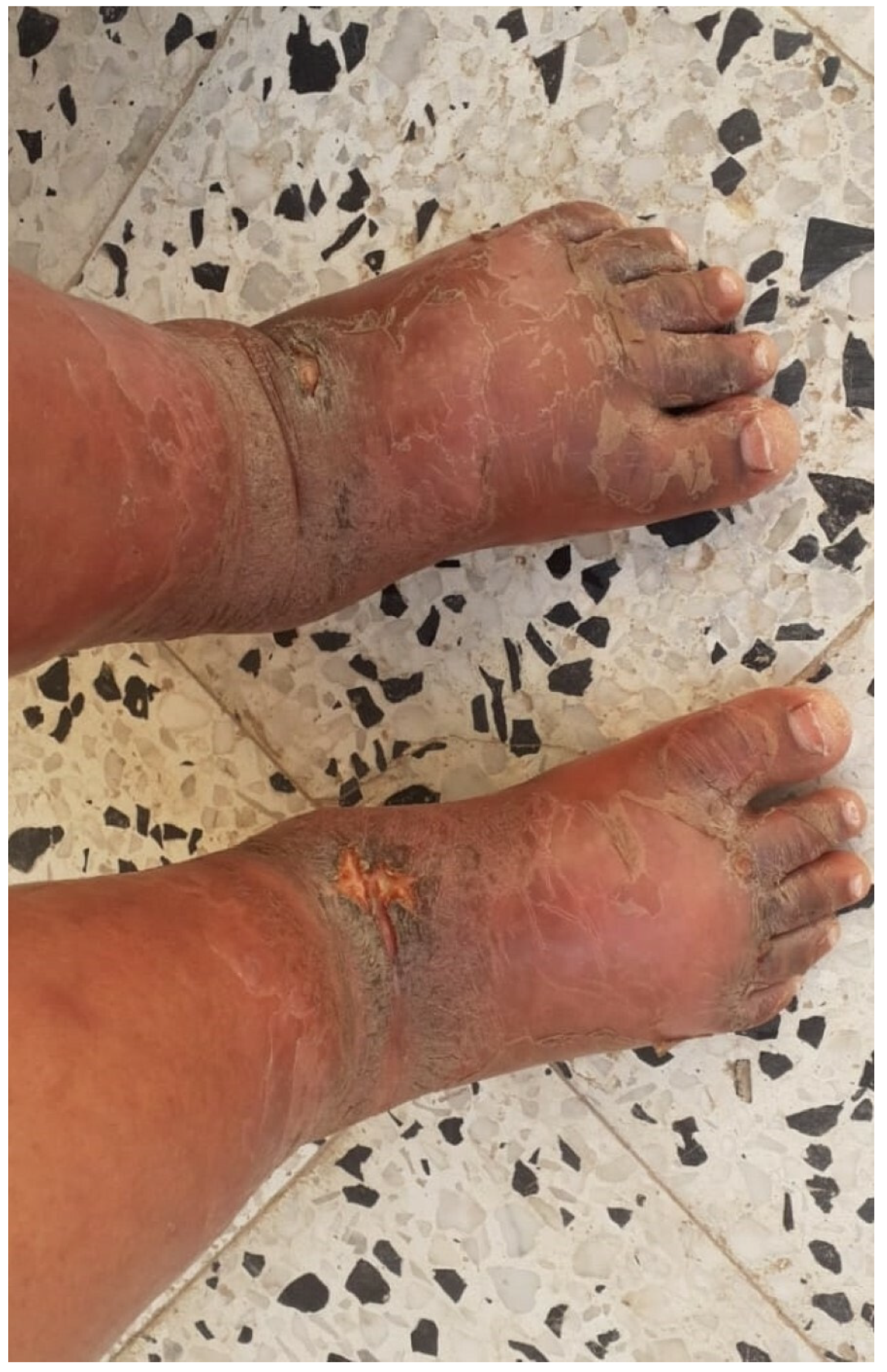 Healthcare 11 00576 g004 Healthcare 11 00576 g004