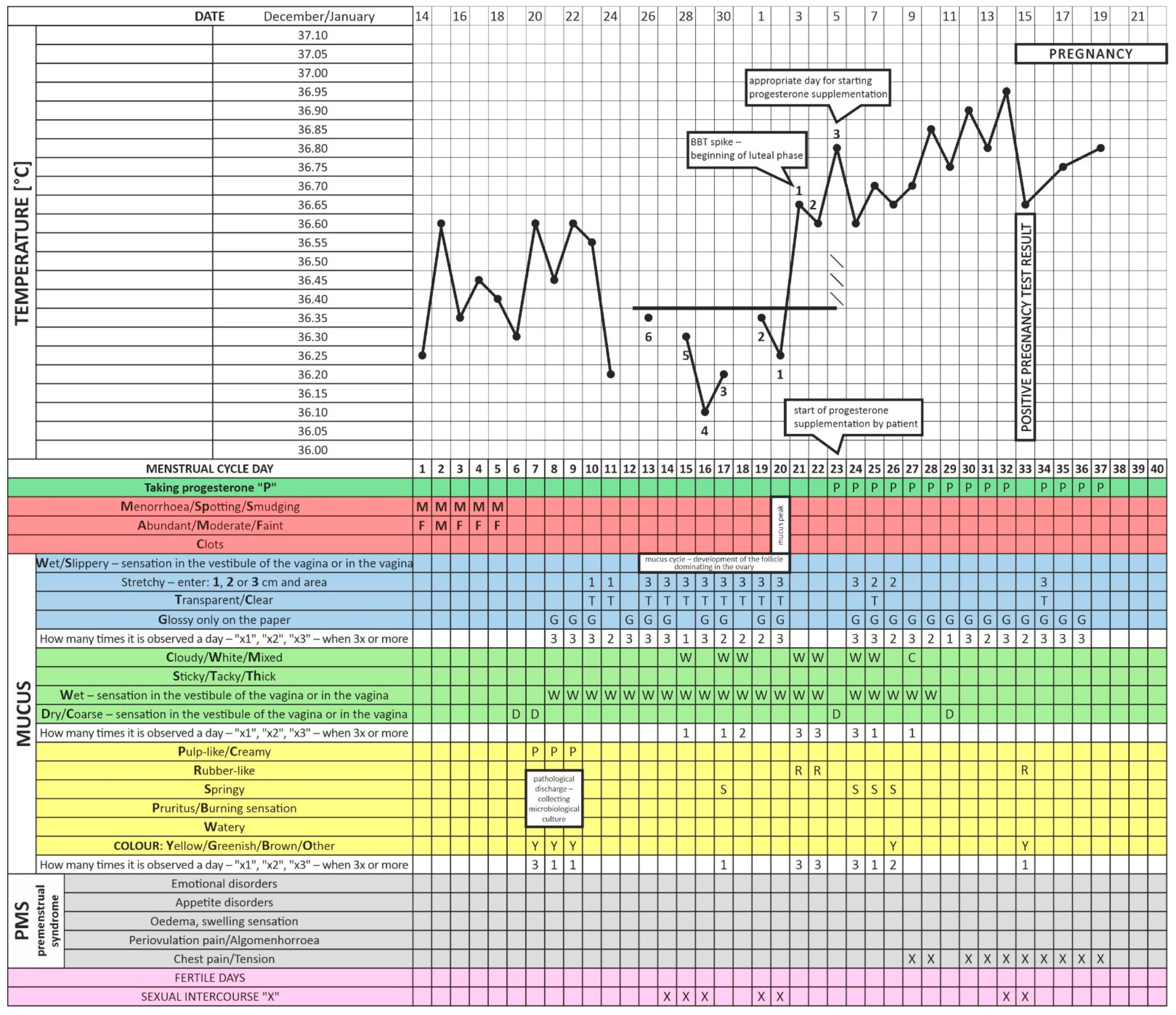 Healthcare 11 00616 g003