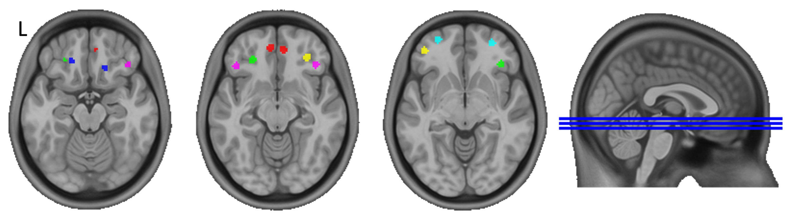 Healthcare 11 00689 g001