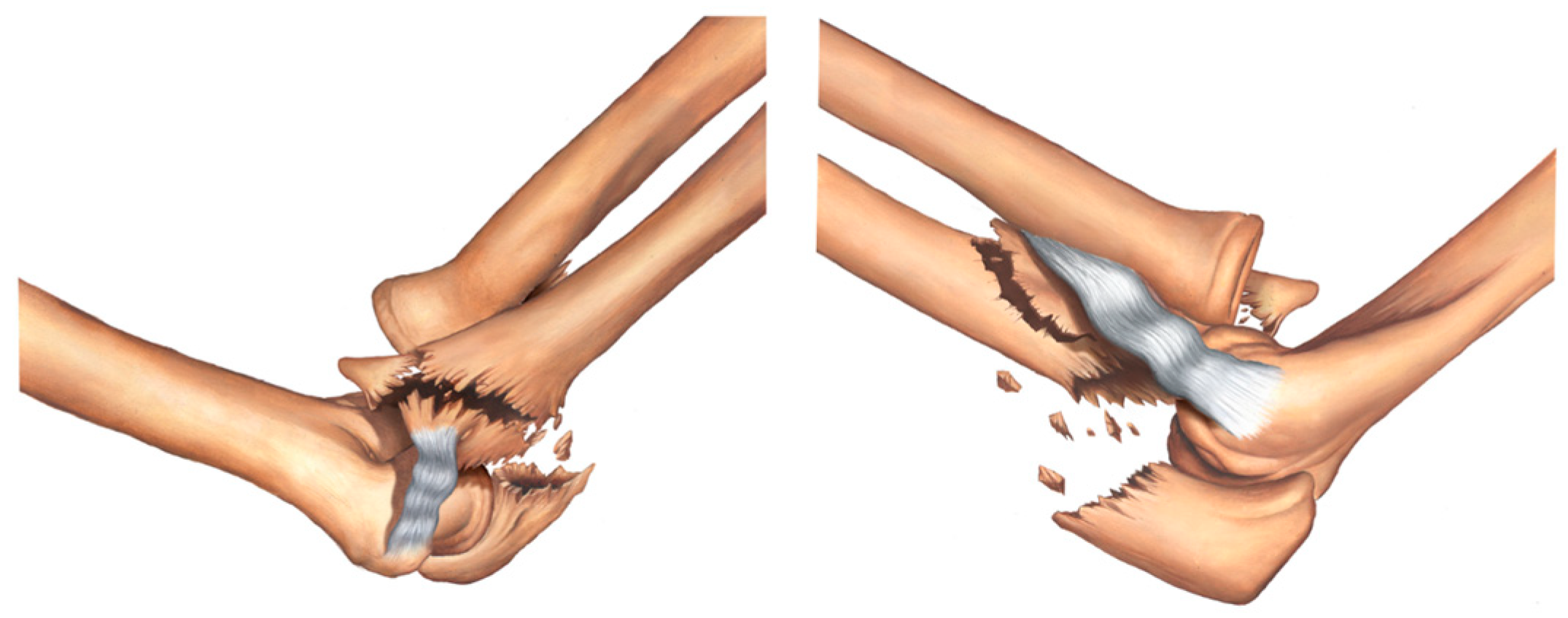 Healthcare 11 00693 g008 Healthcare 11 00693 g008