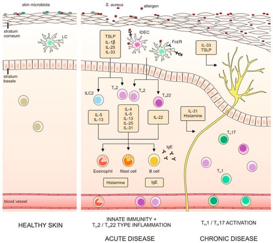 Healthcare 11 00766 g001