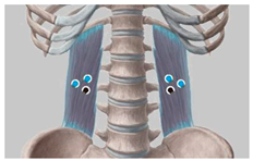 Healthcare 11 00895 i008 Healthcare 11 00895 i008