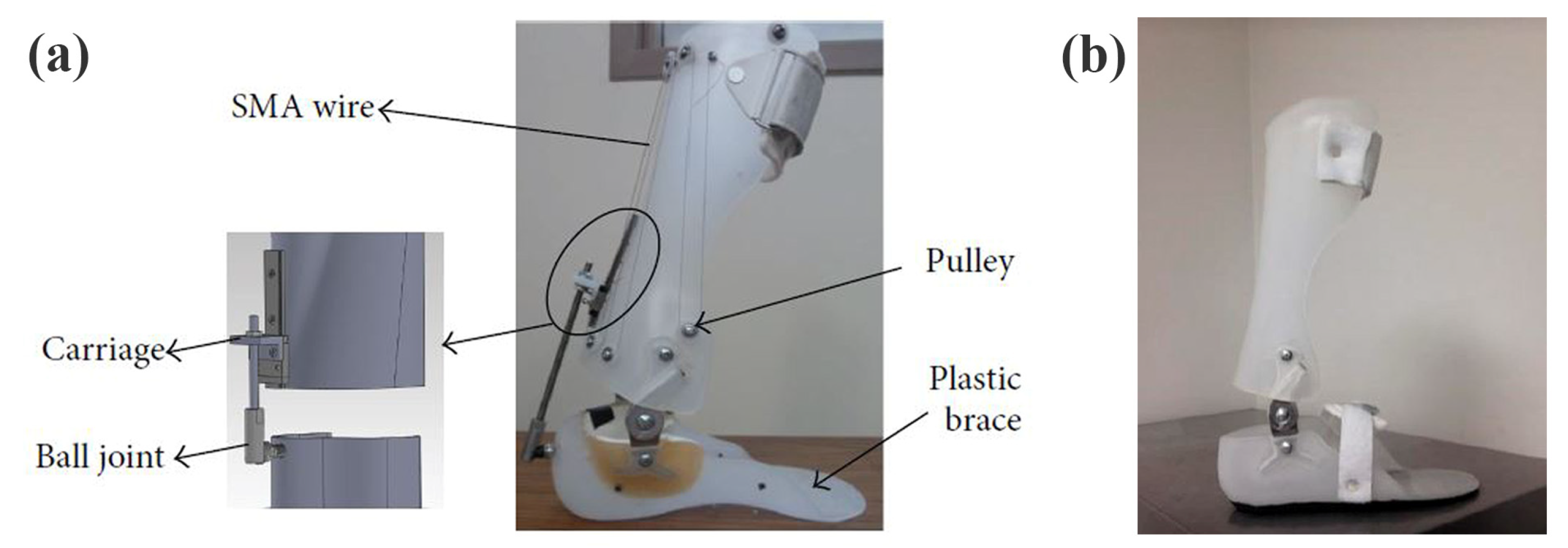 Healthcare 11 00947 g007