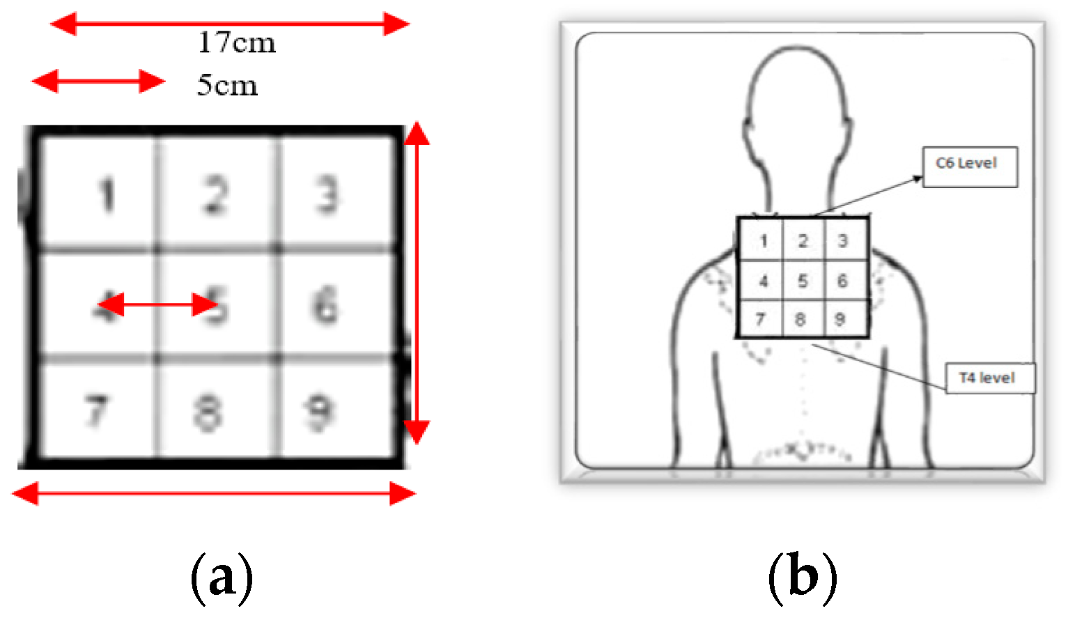 Healthcare 11 01385 g001 Healthcare 11 01385 g001