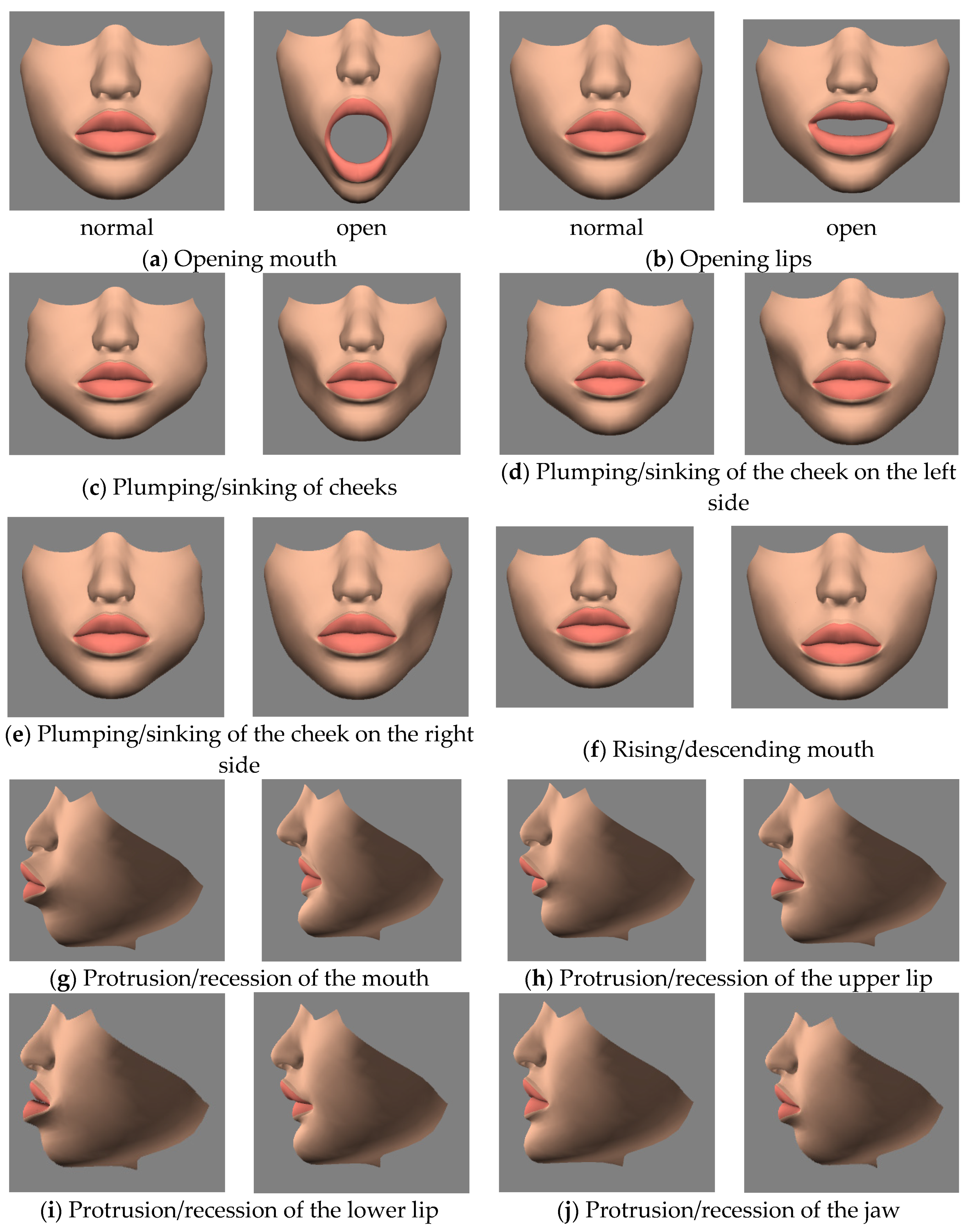 Healthcare 11 01433 g002 Healthcare 11 01433 g002