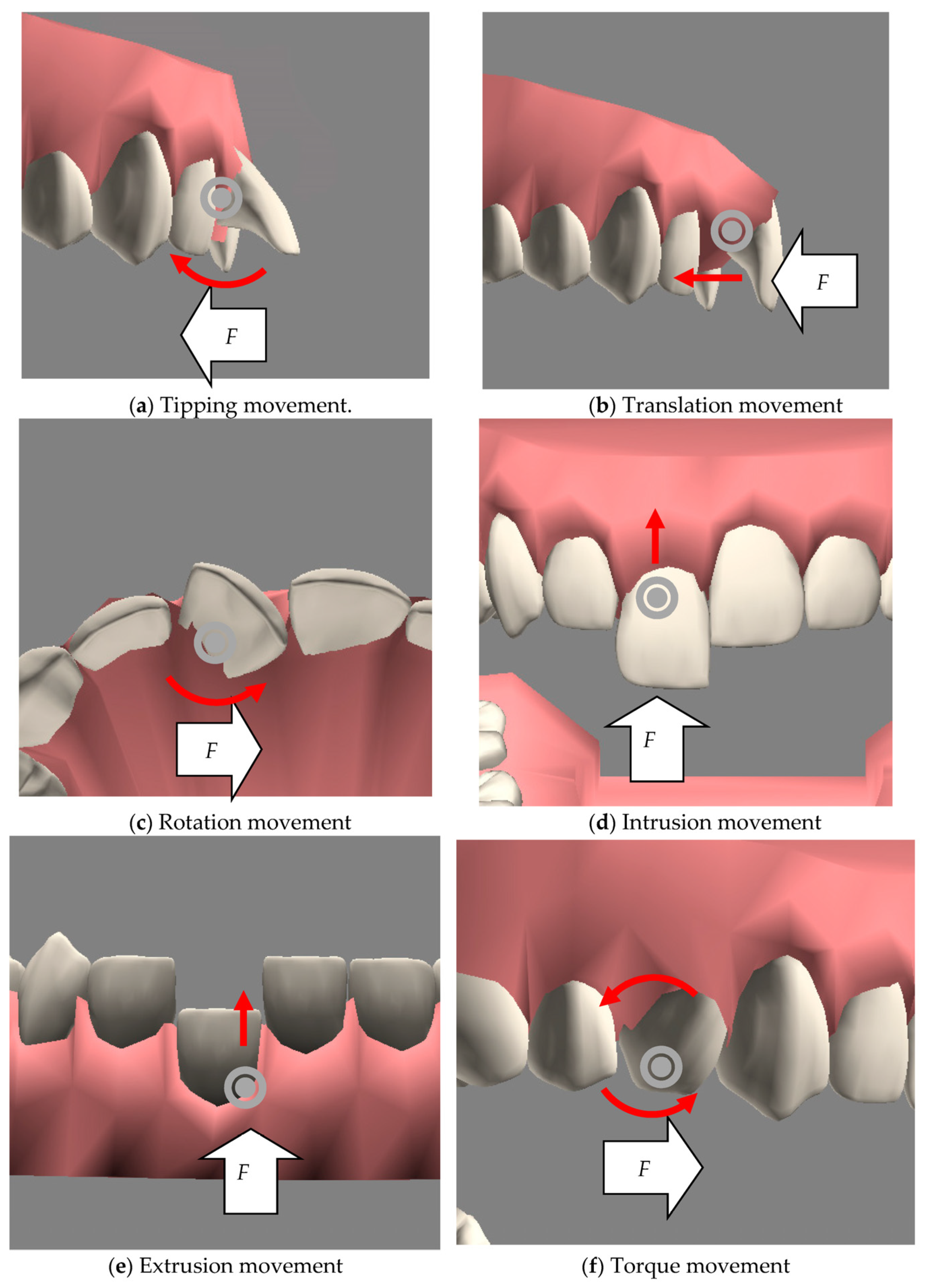 Healthcare 11 01433 g004 Healthcare 11 01433 g004