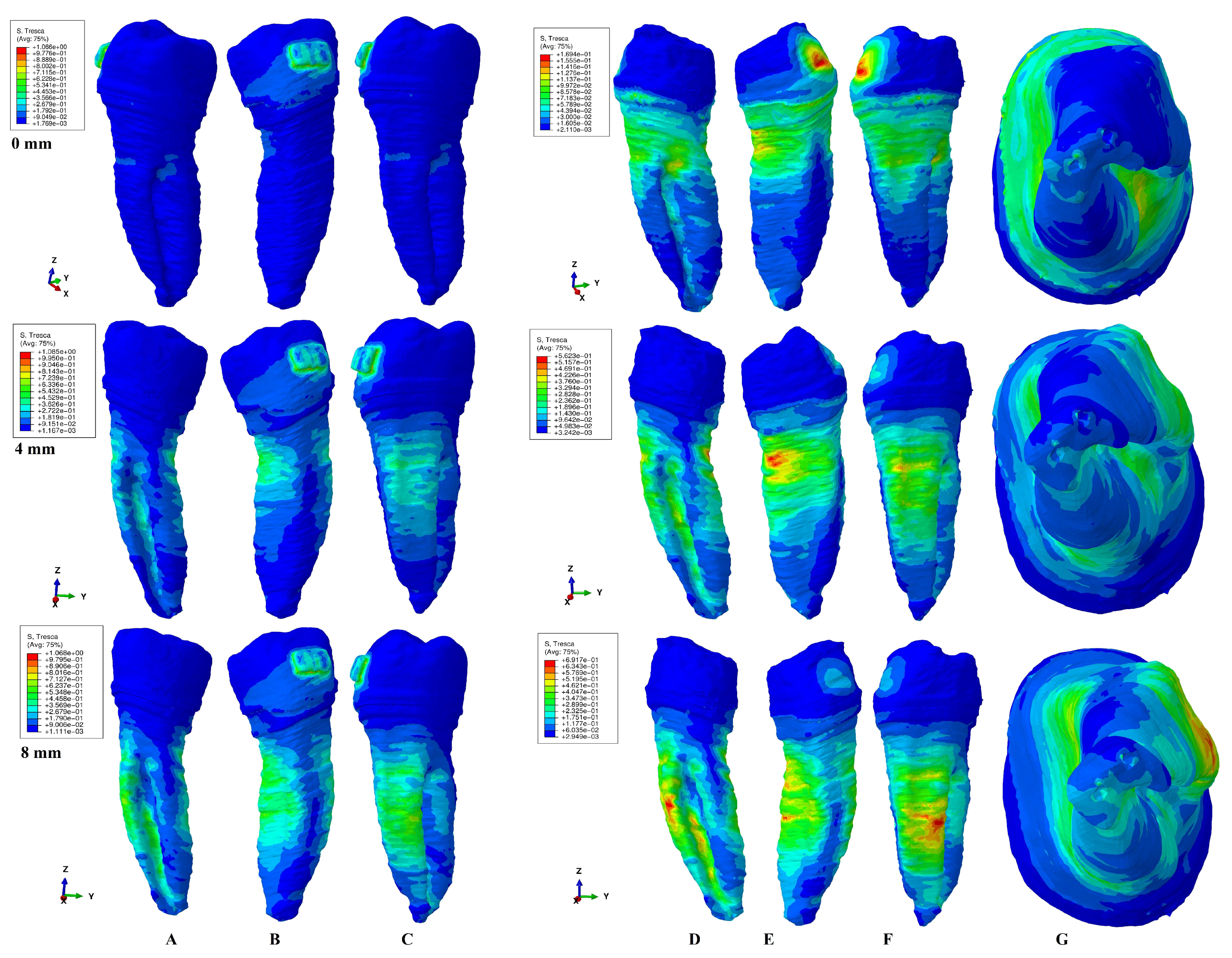 Healthcare 11 01447 g005 Healthcare 11 01447 g005