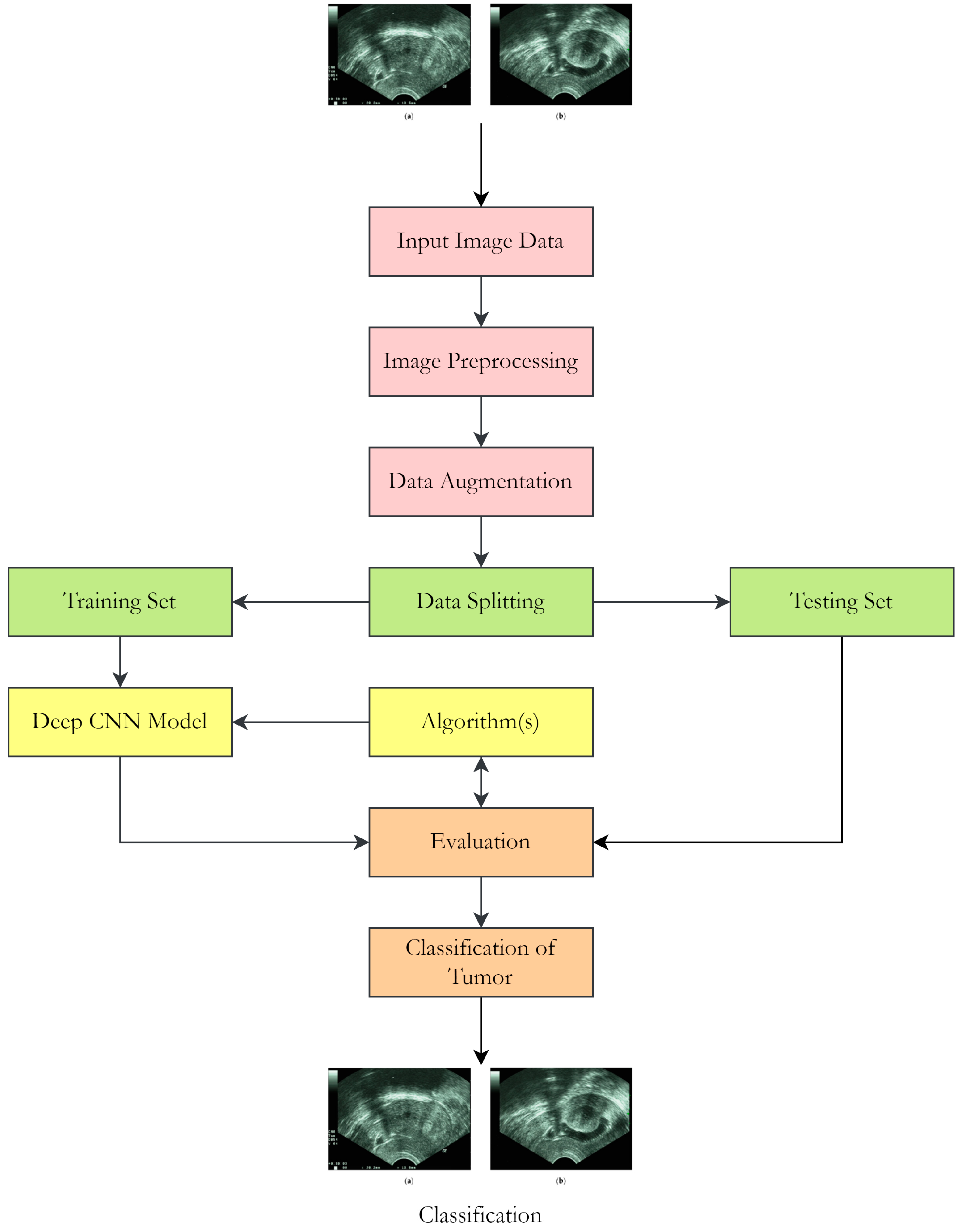 Healthcare 11 01493 g002