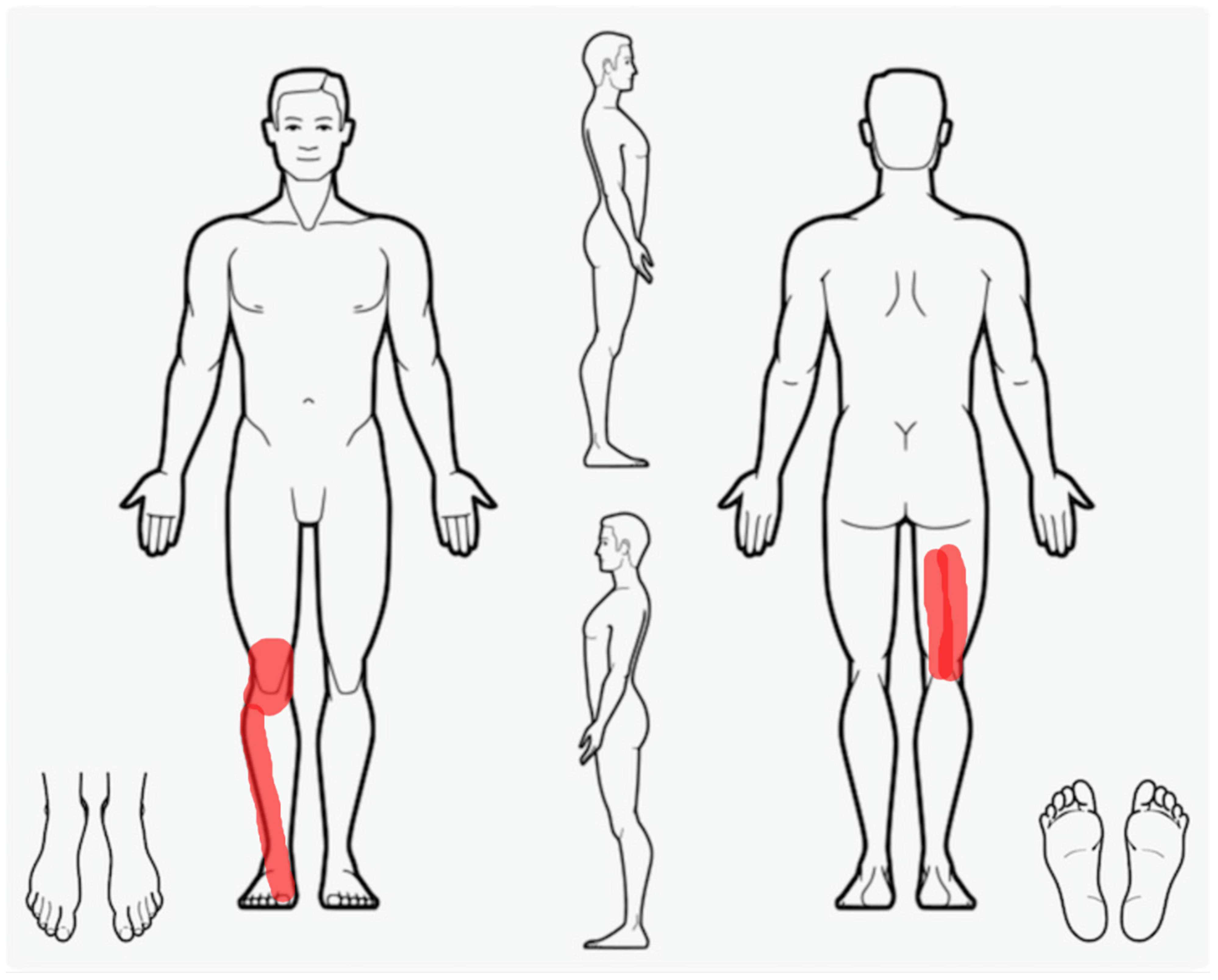 Healthcare 11 01527 g001 Healthcare 11 01527 g001