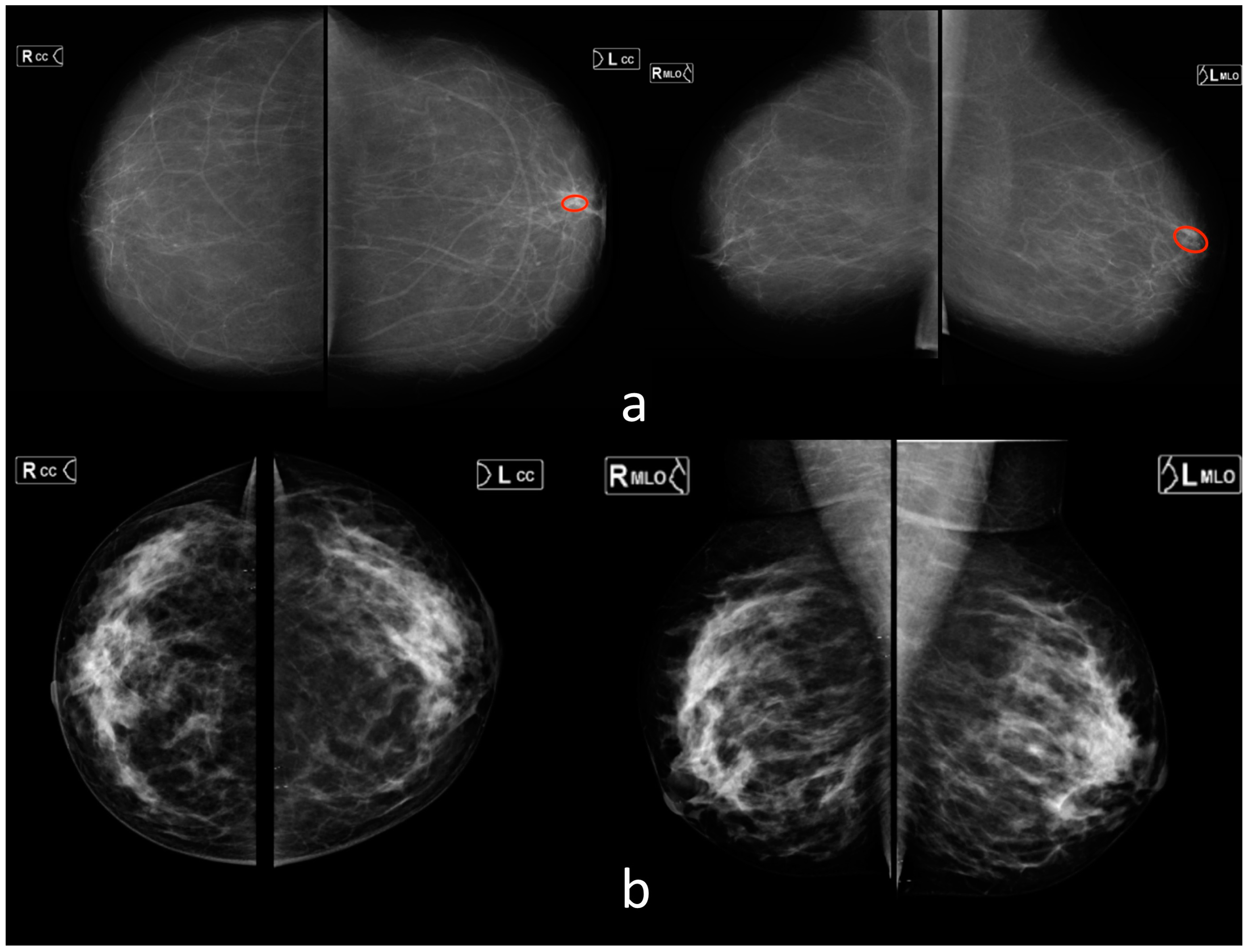 Healthcare 11 01684 g005