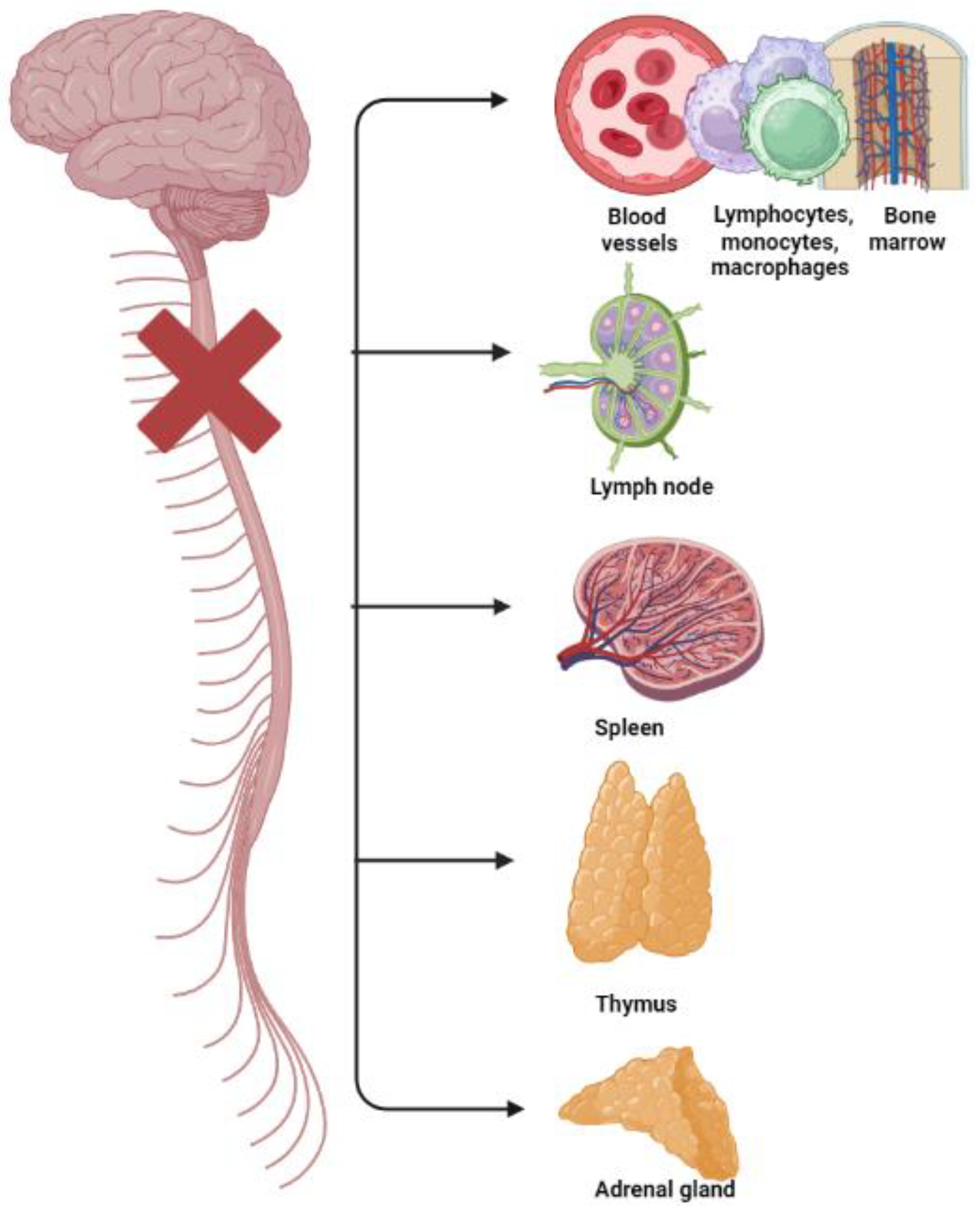 Healthcare 11 01692 g001
