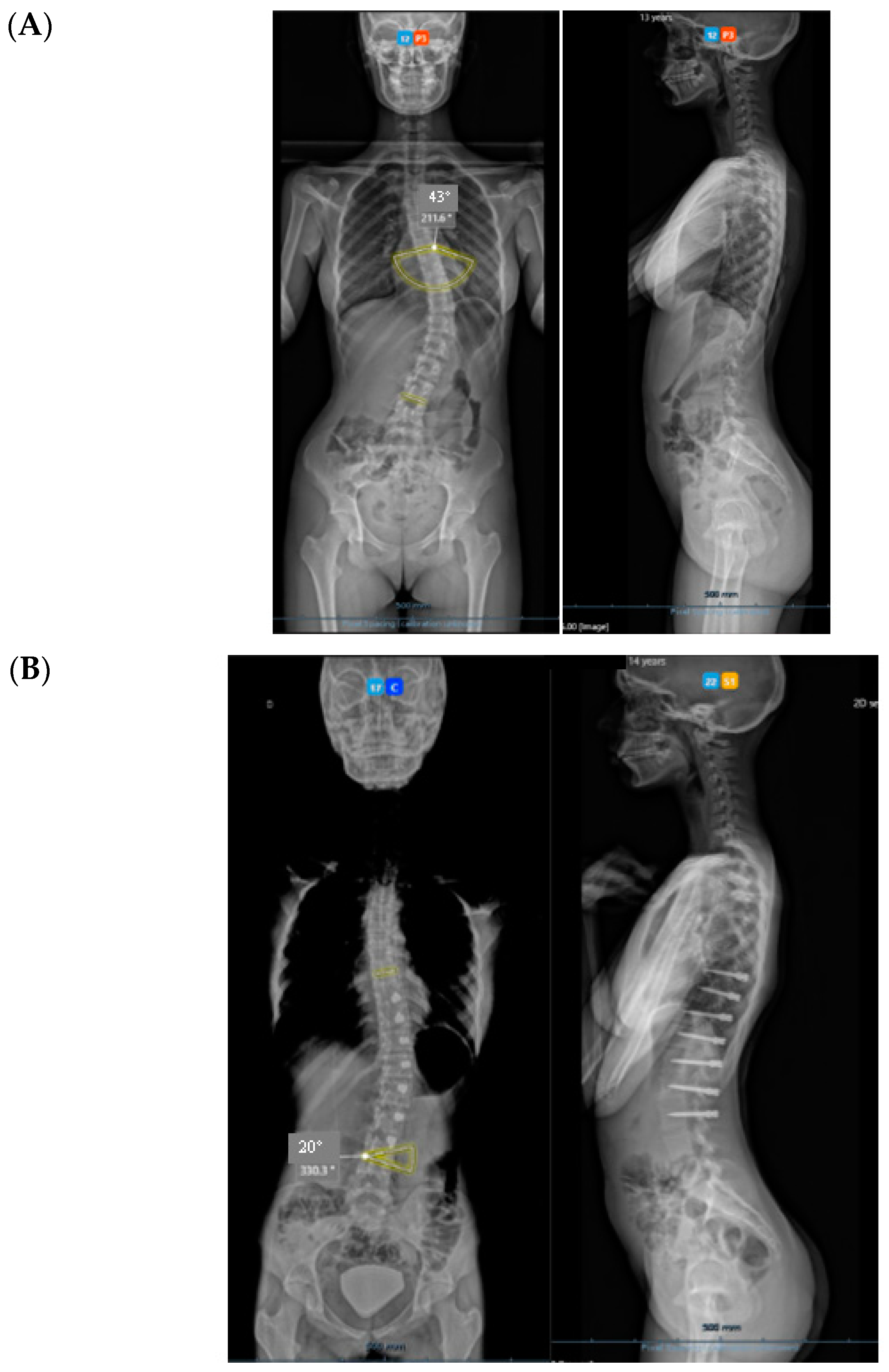 Healthcare 11 01878 g004