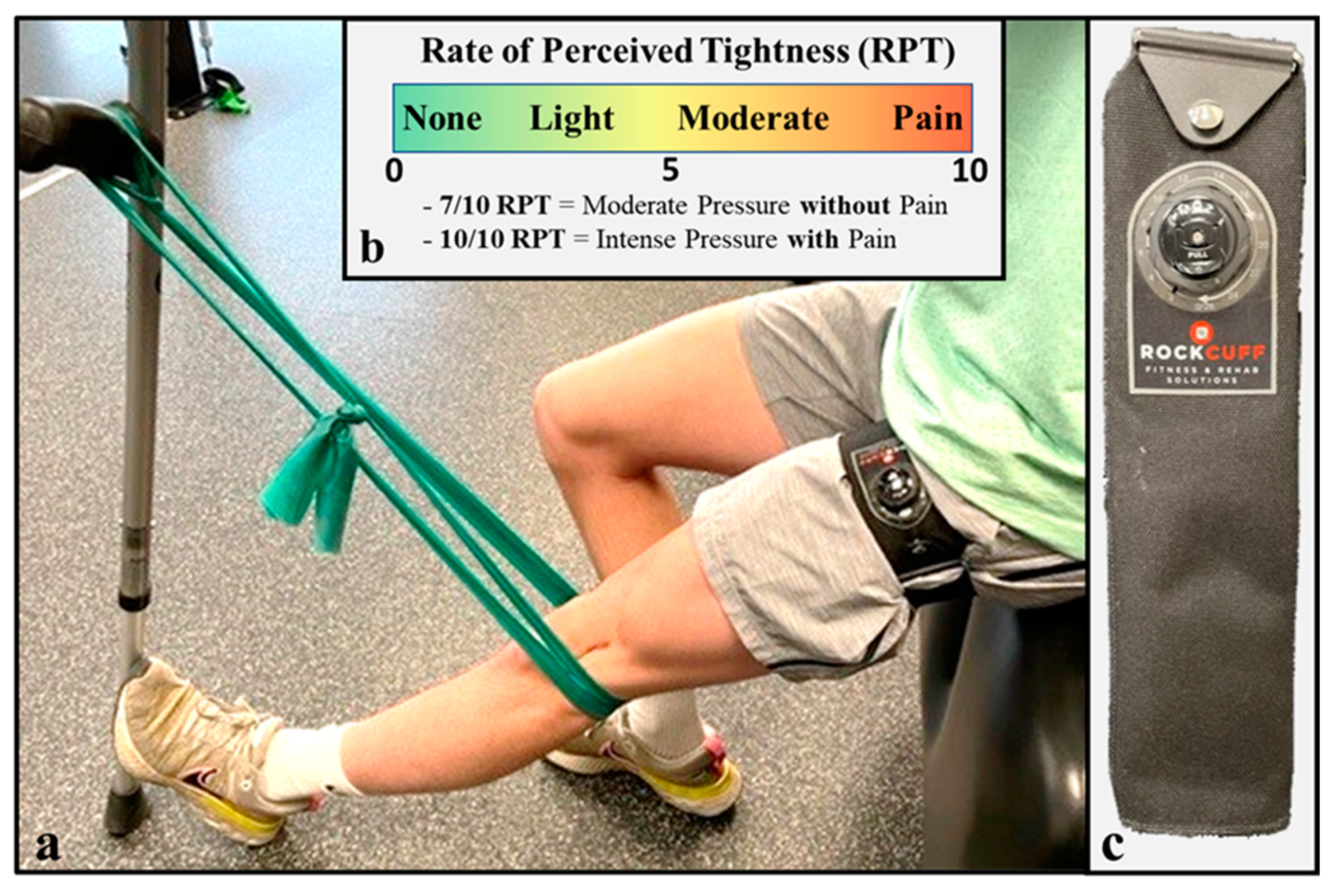 Healthcare 11 01885 g002