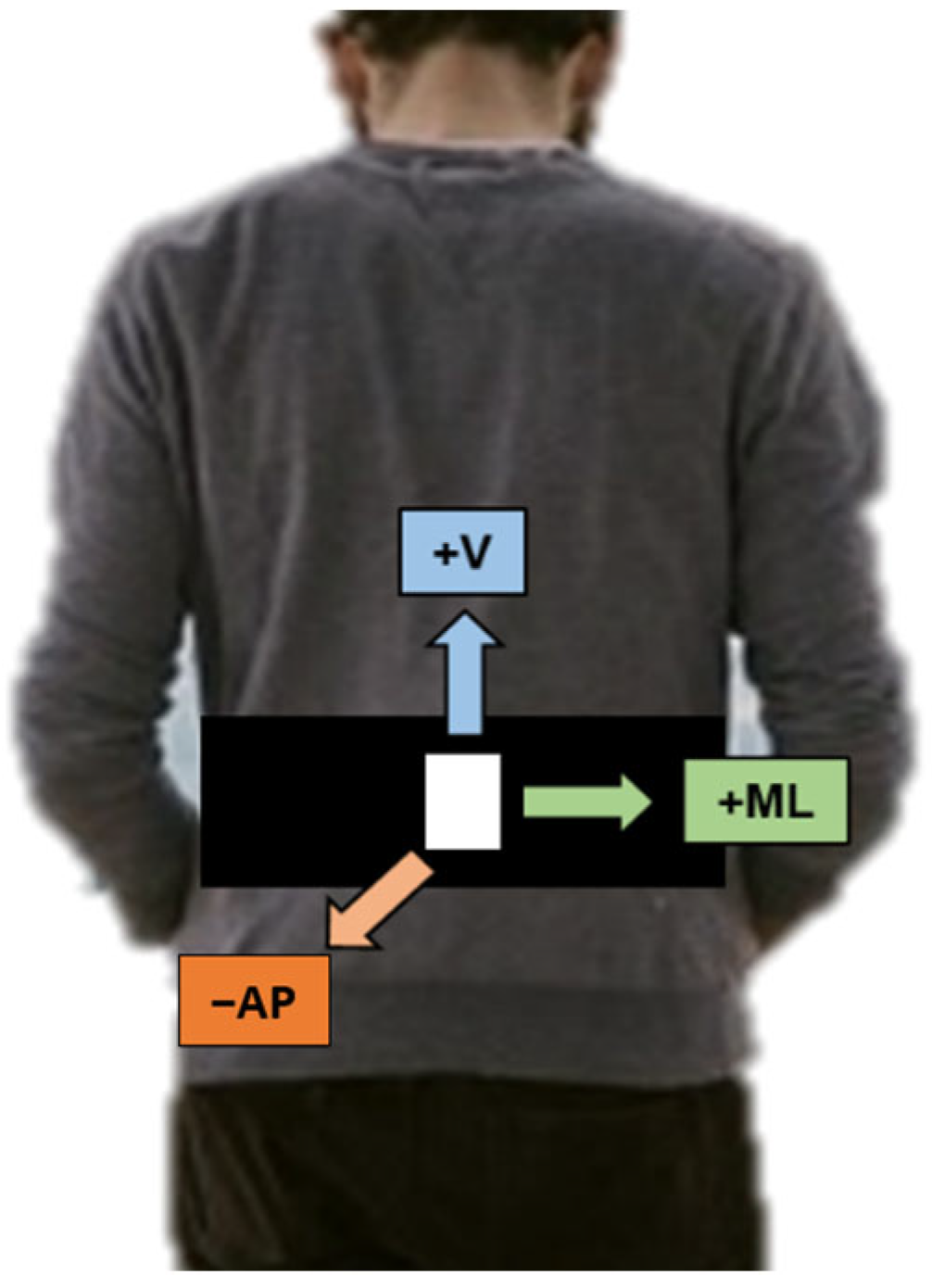 Healthcare 11 01938 g001